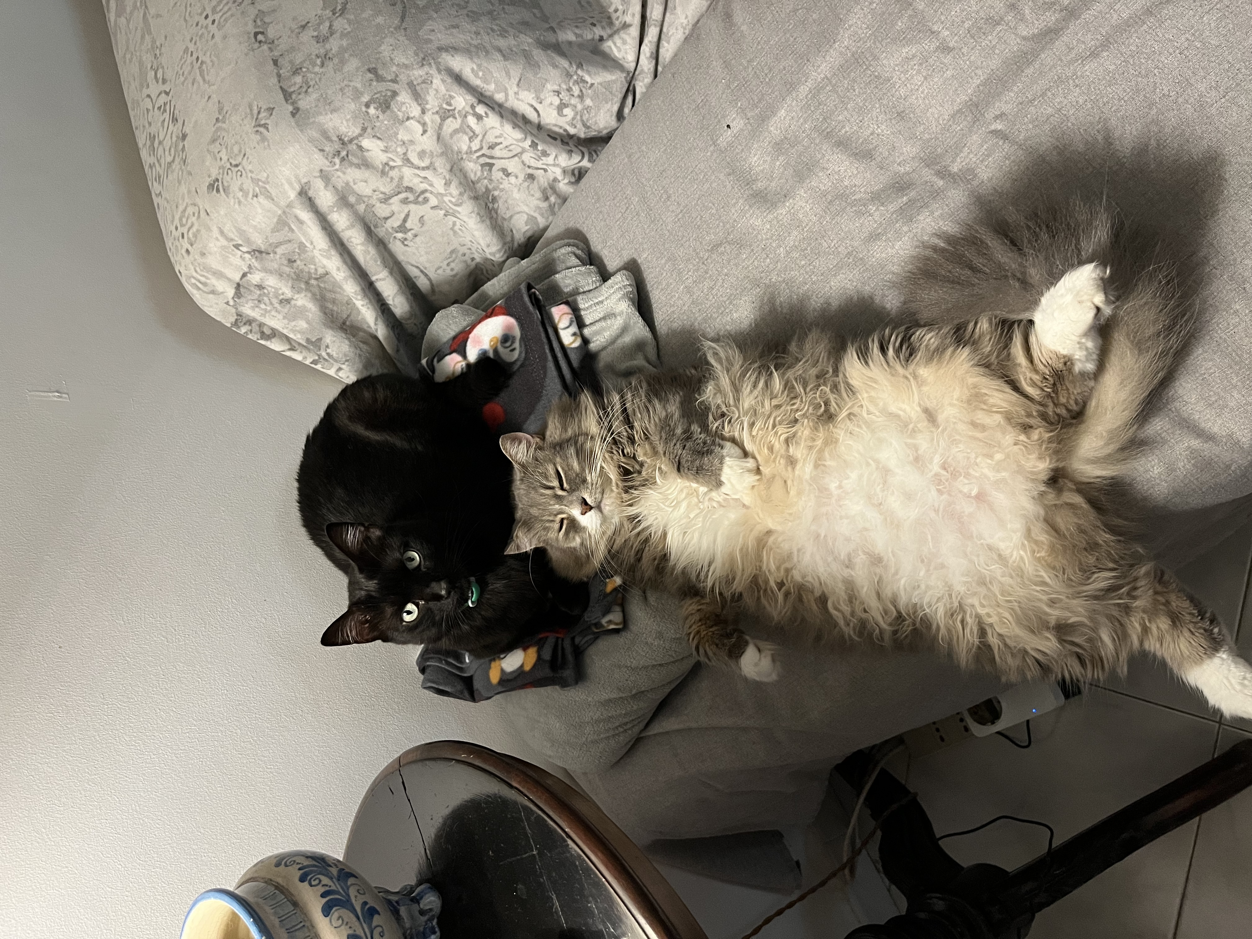 image-8