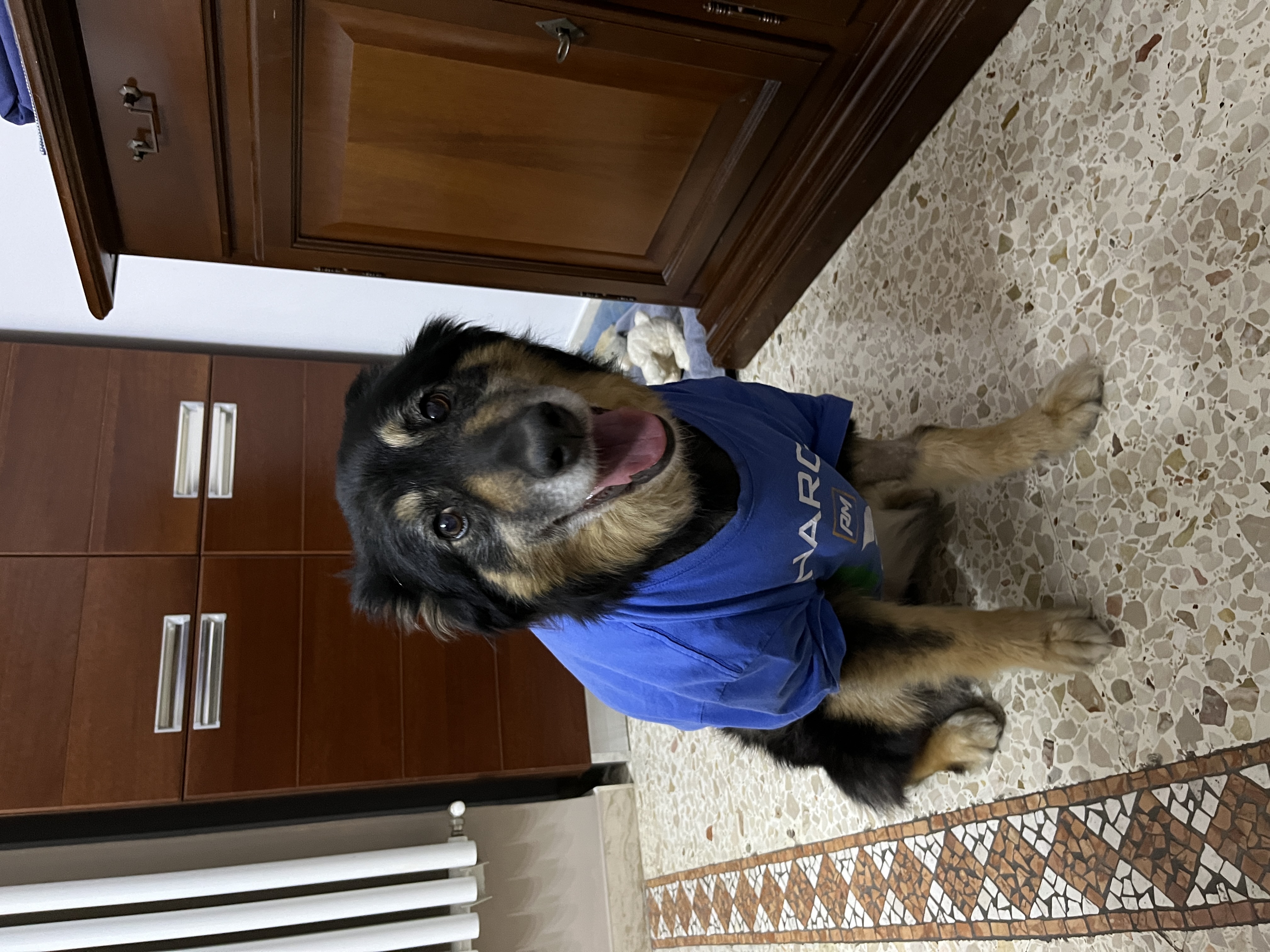 image-6