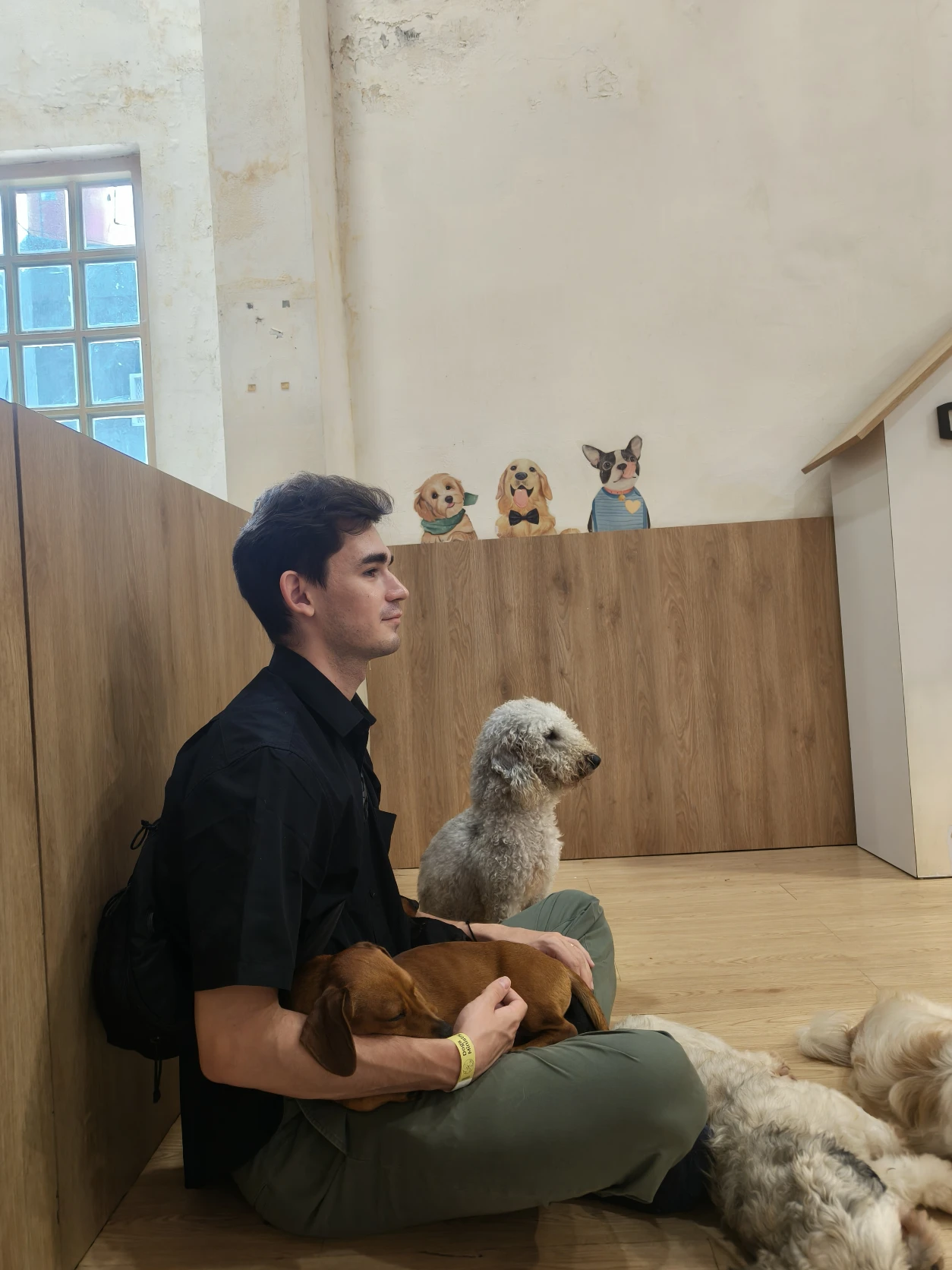 image-7