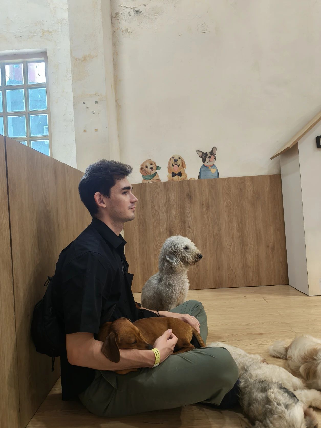 image-7