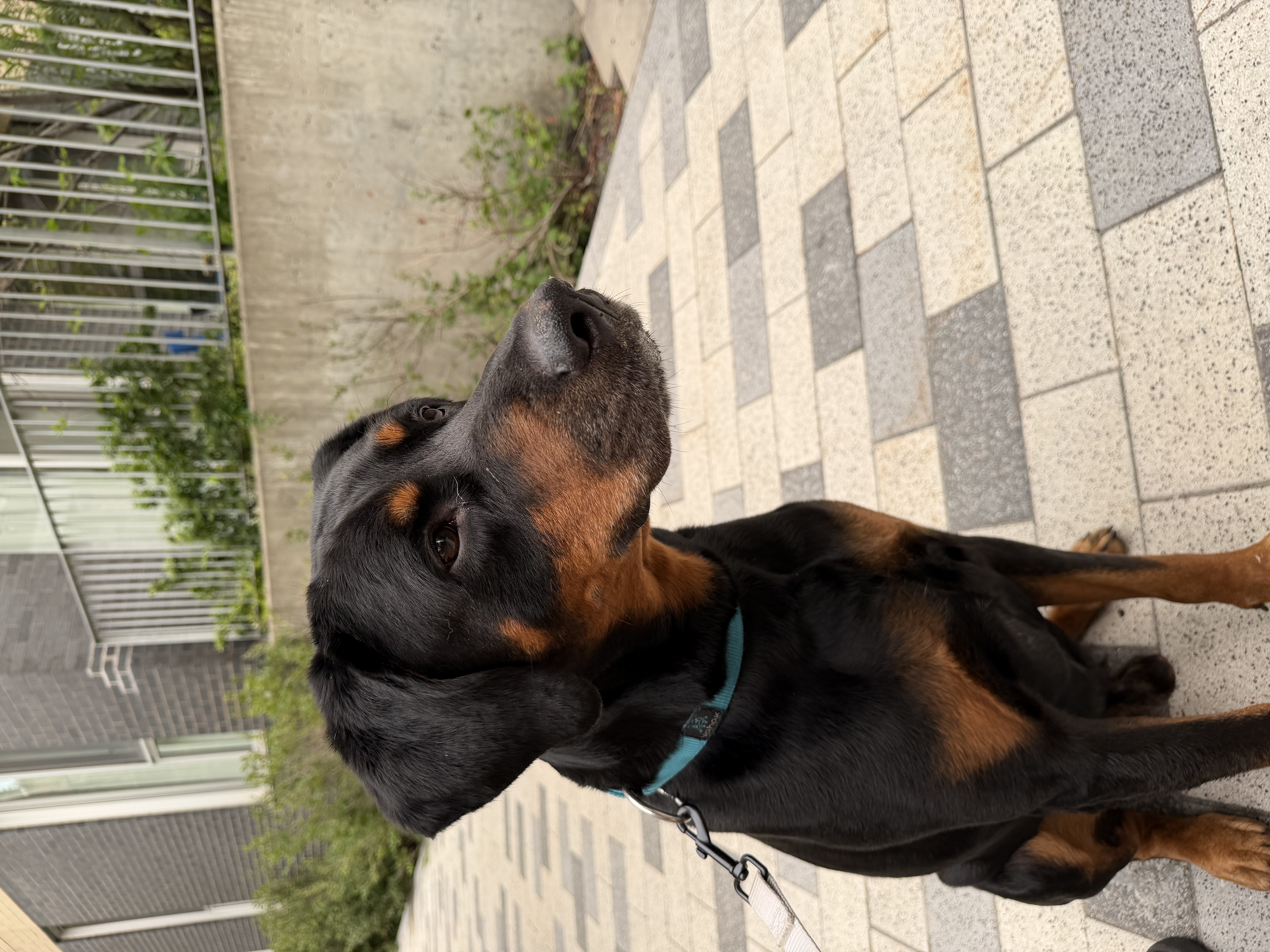 image-11