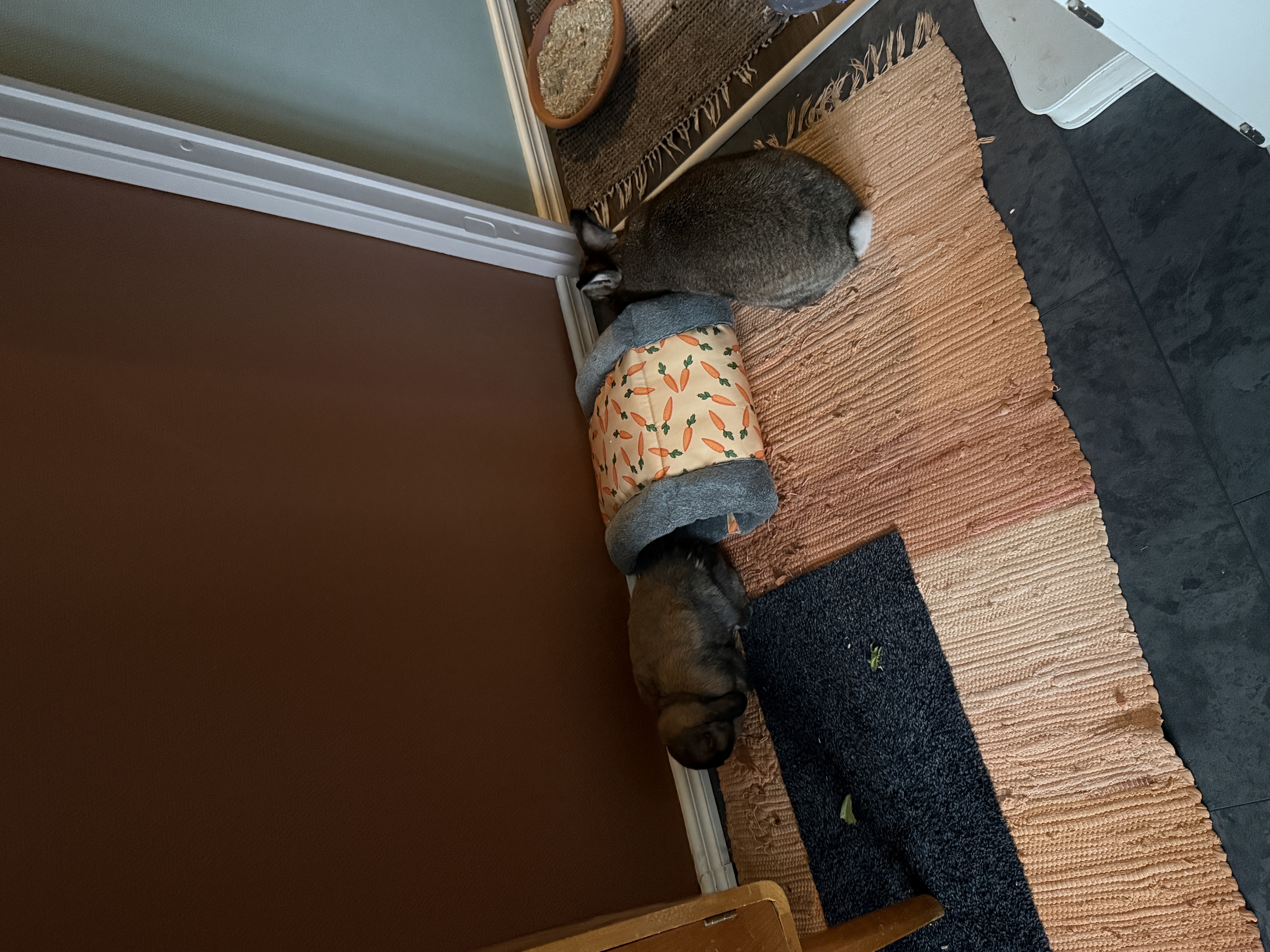 image-15