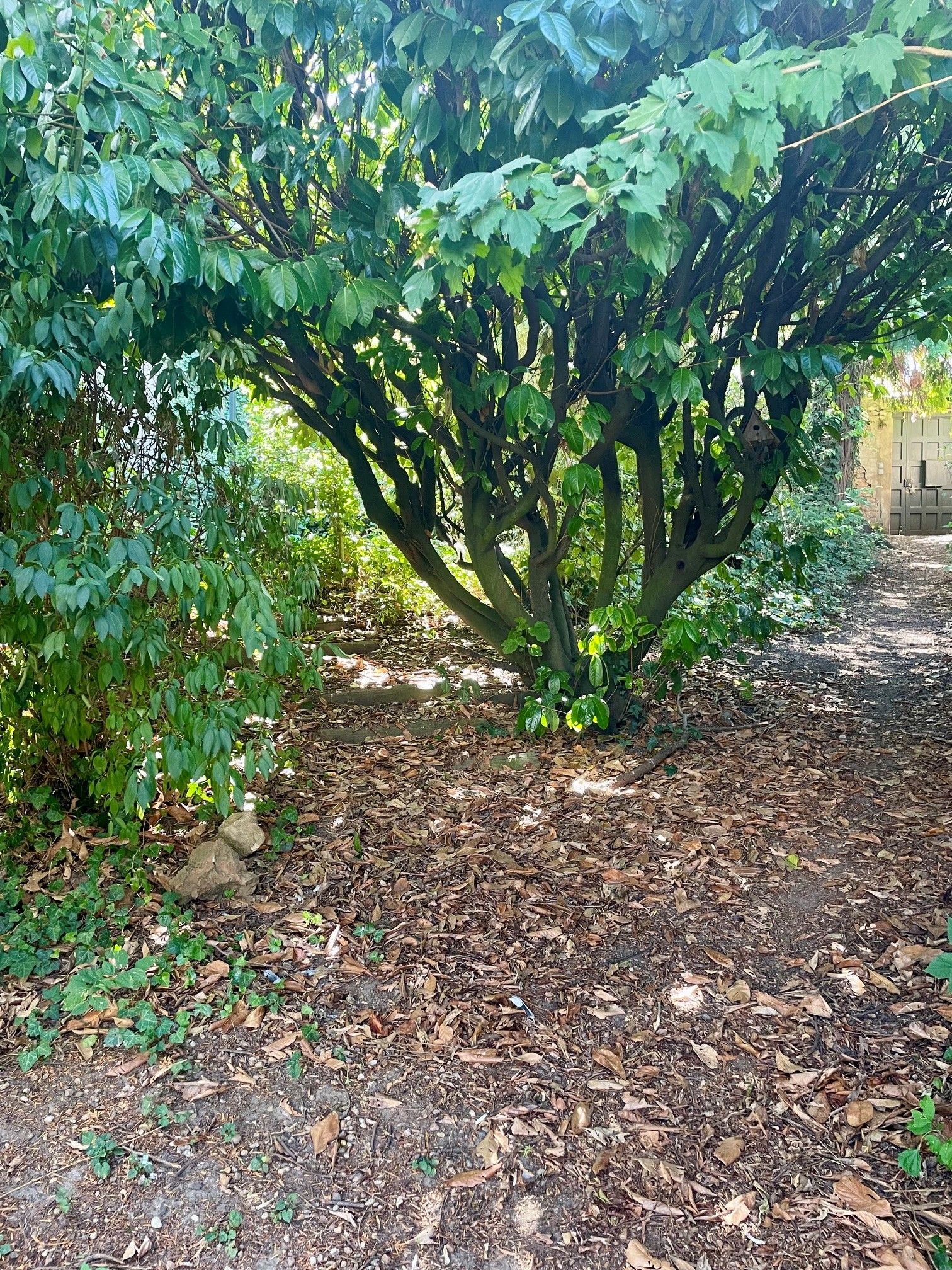image-16