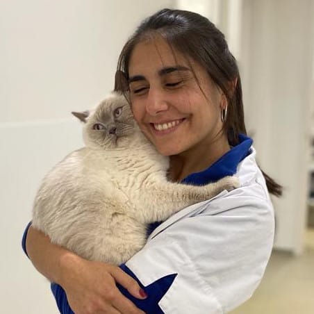 Ana