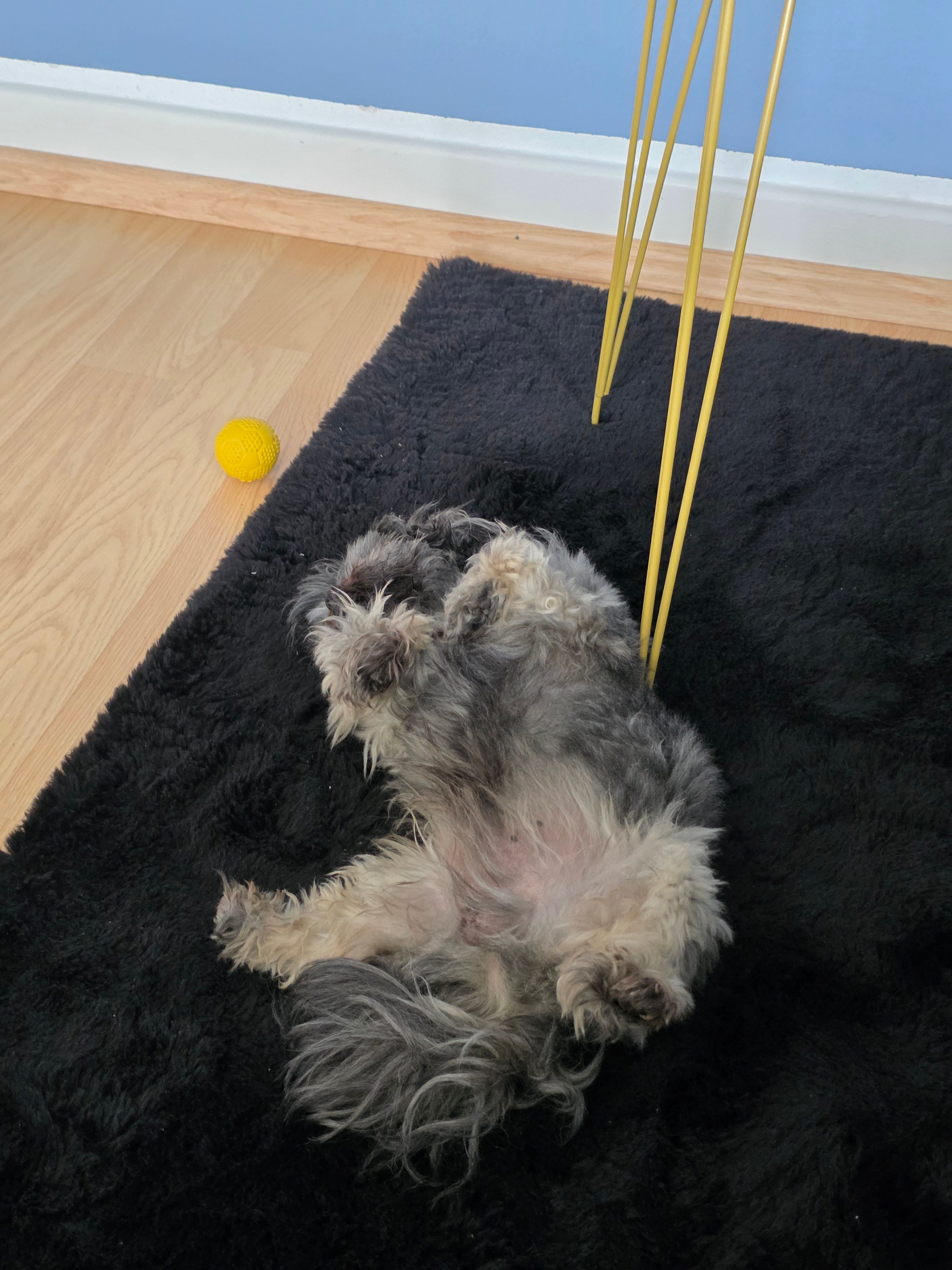image-11