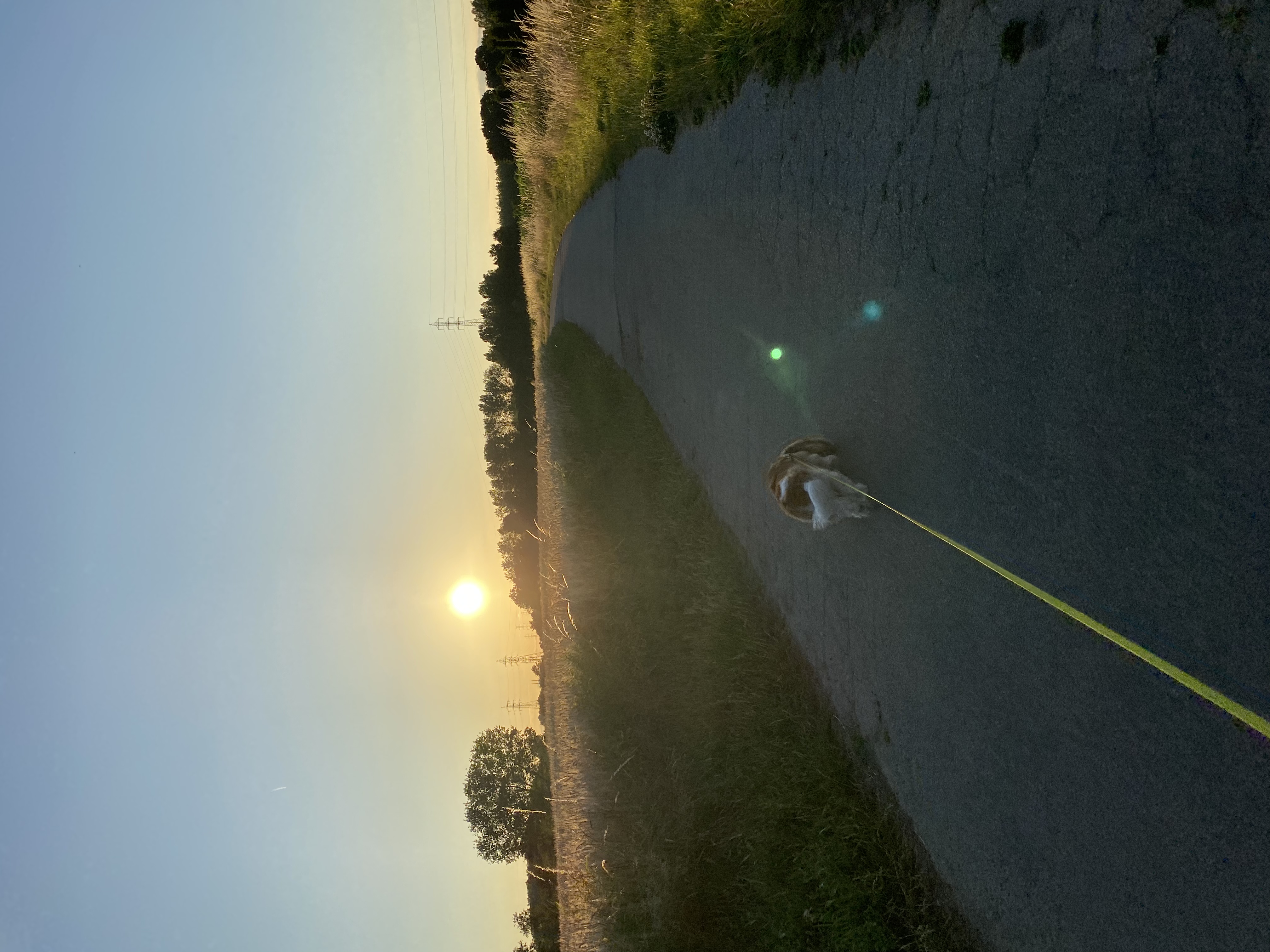 image-8