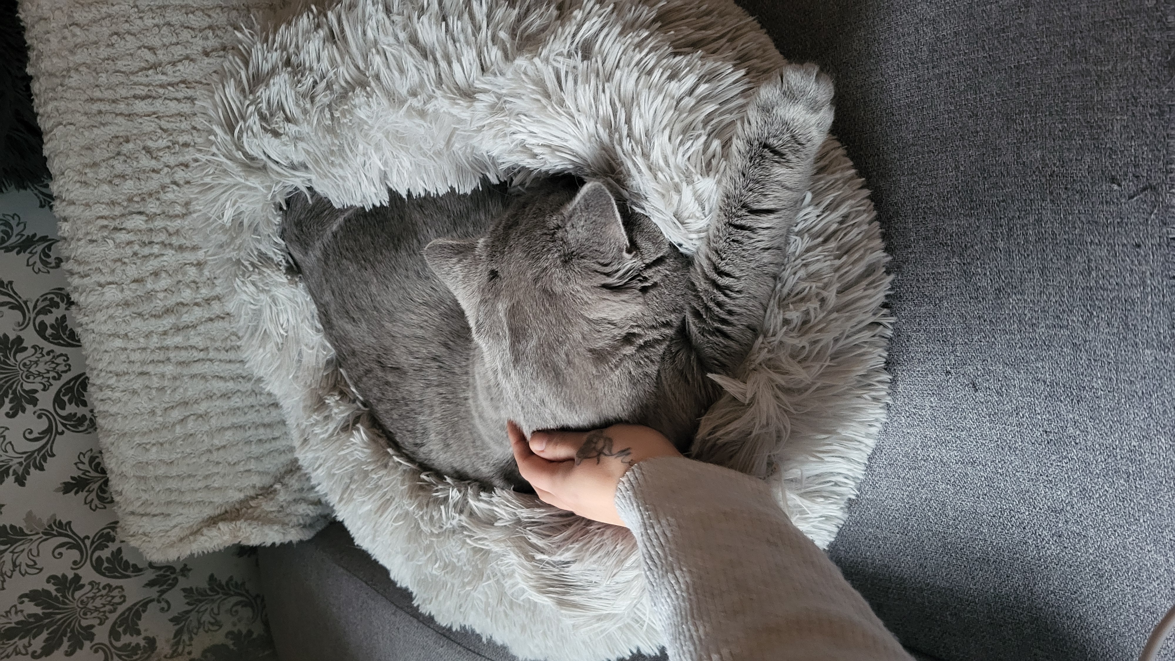 image-5