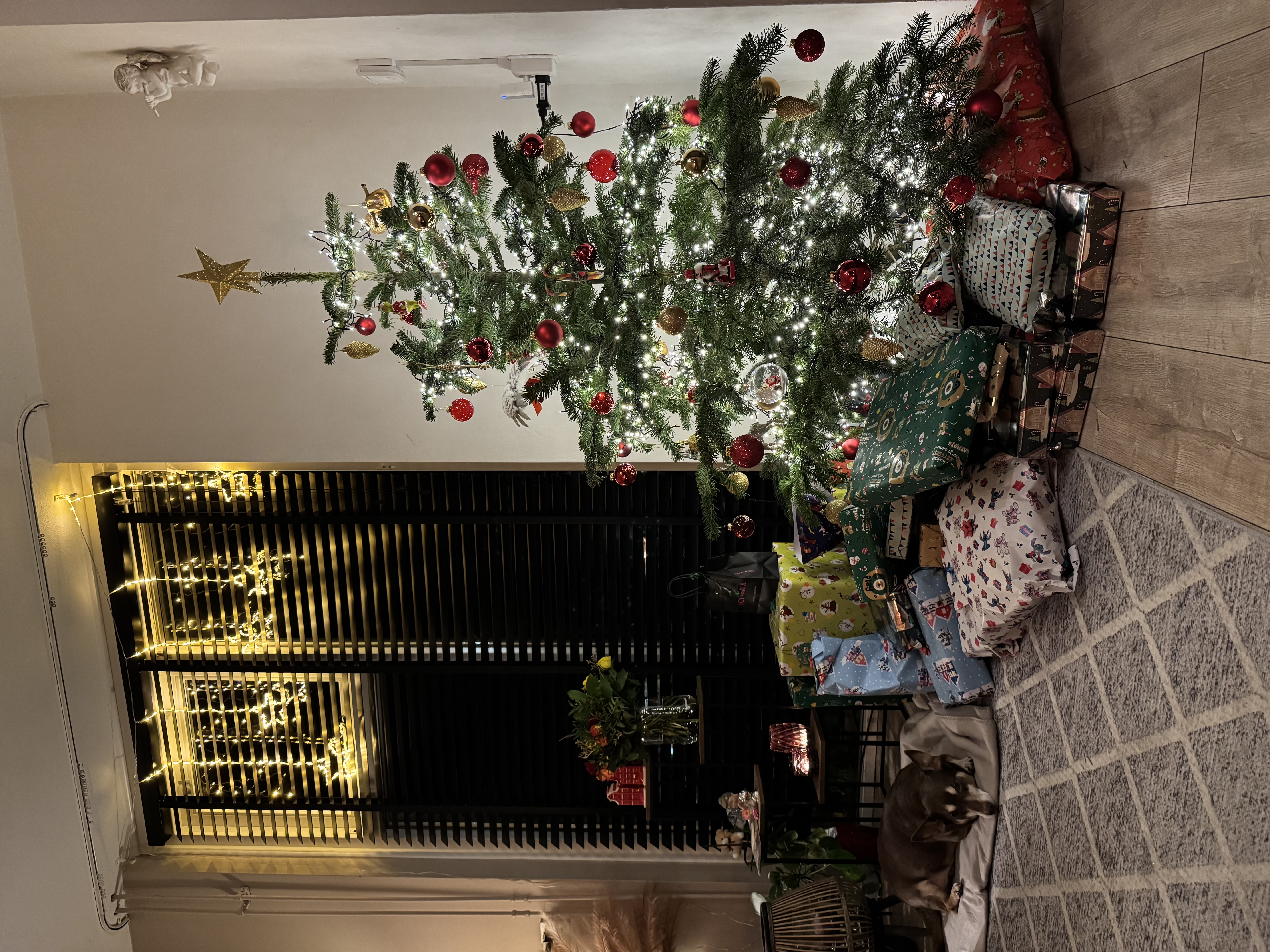 image-11