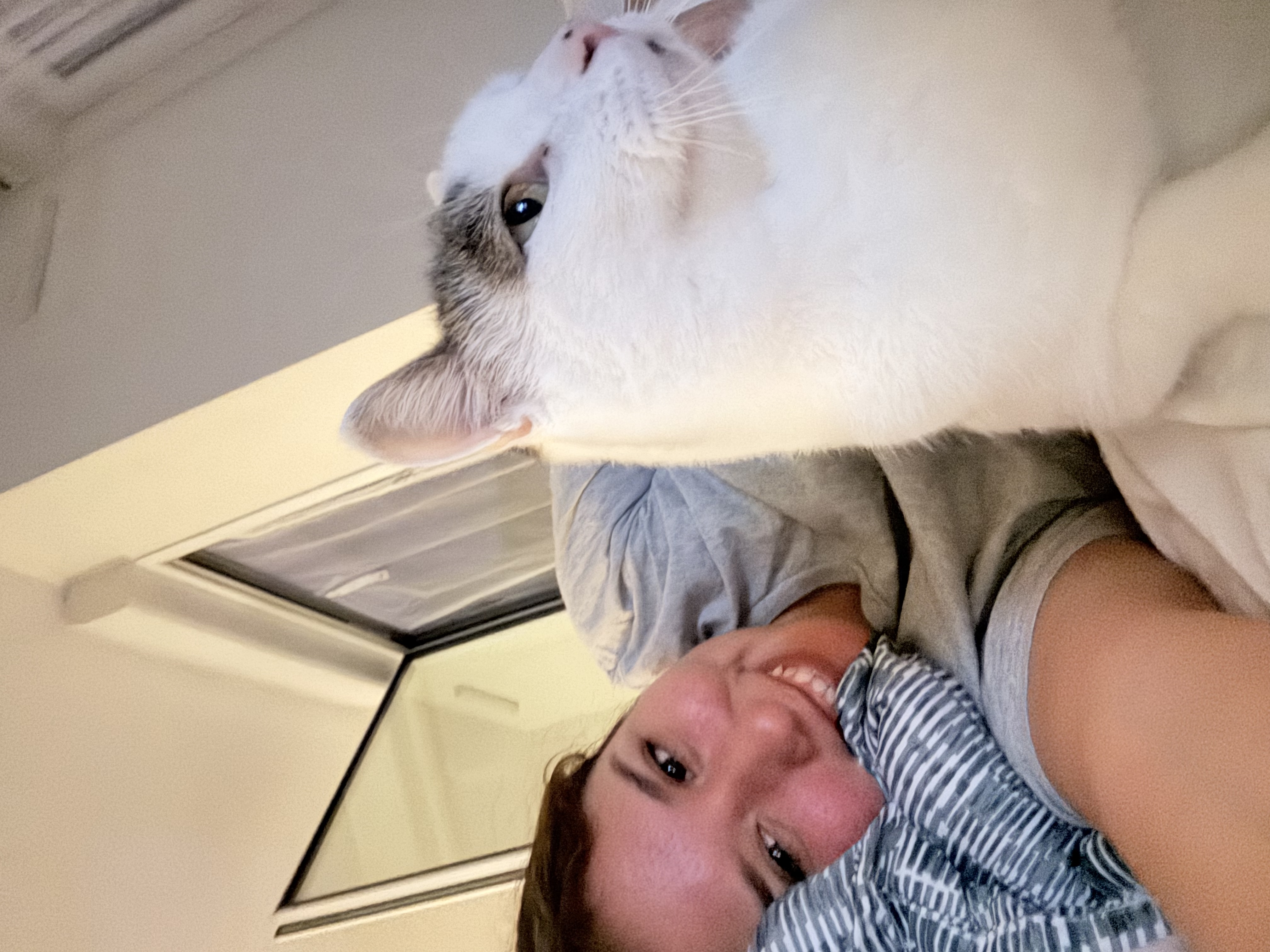 image-6