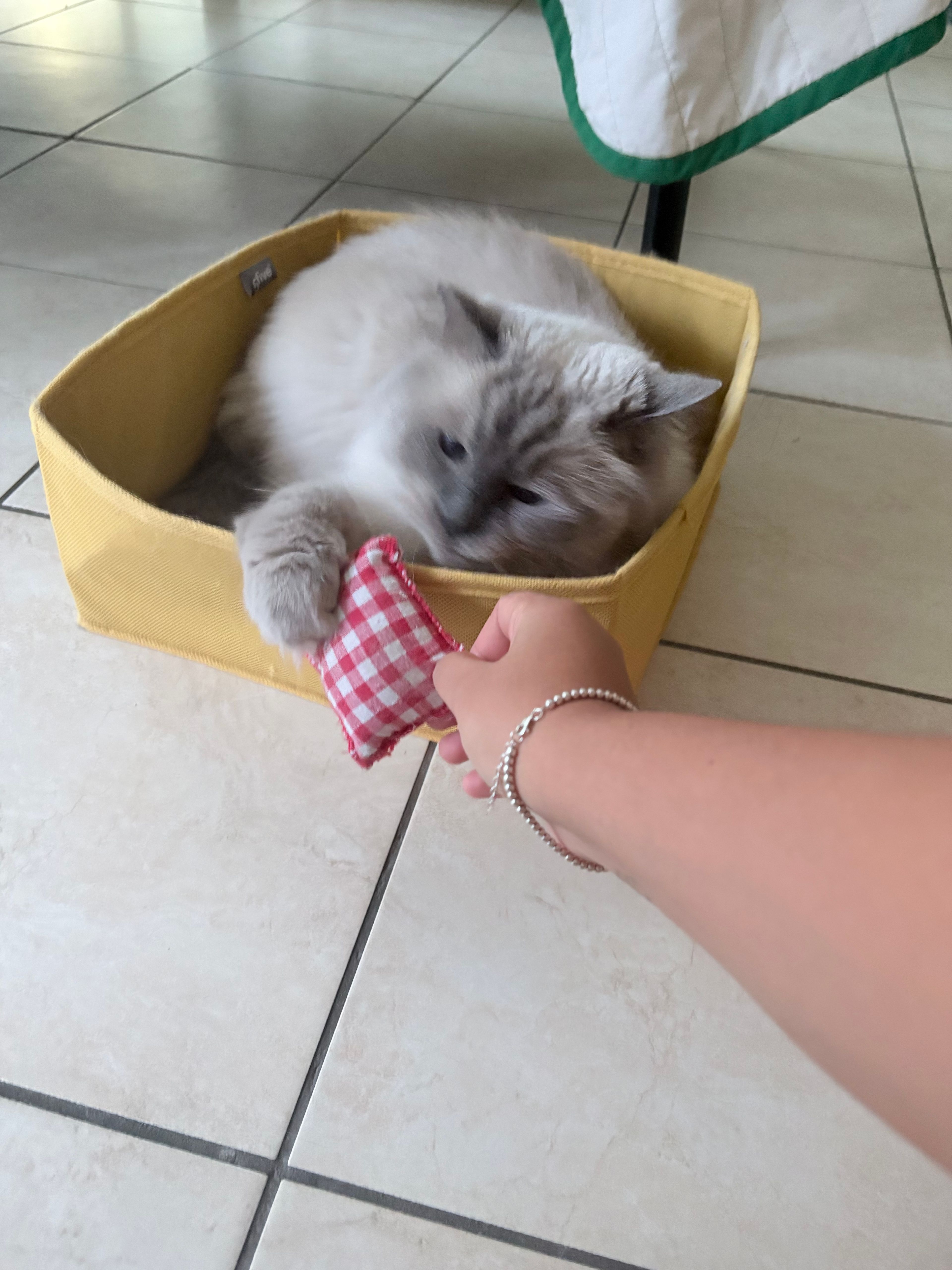 image-5