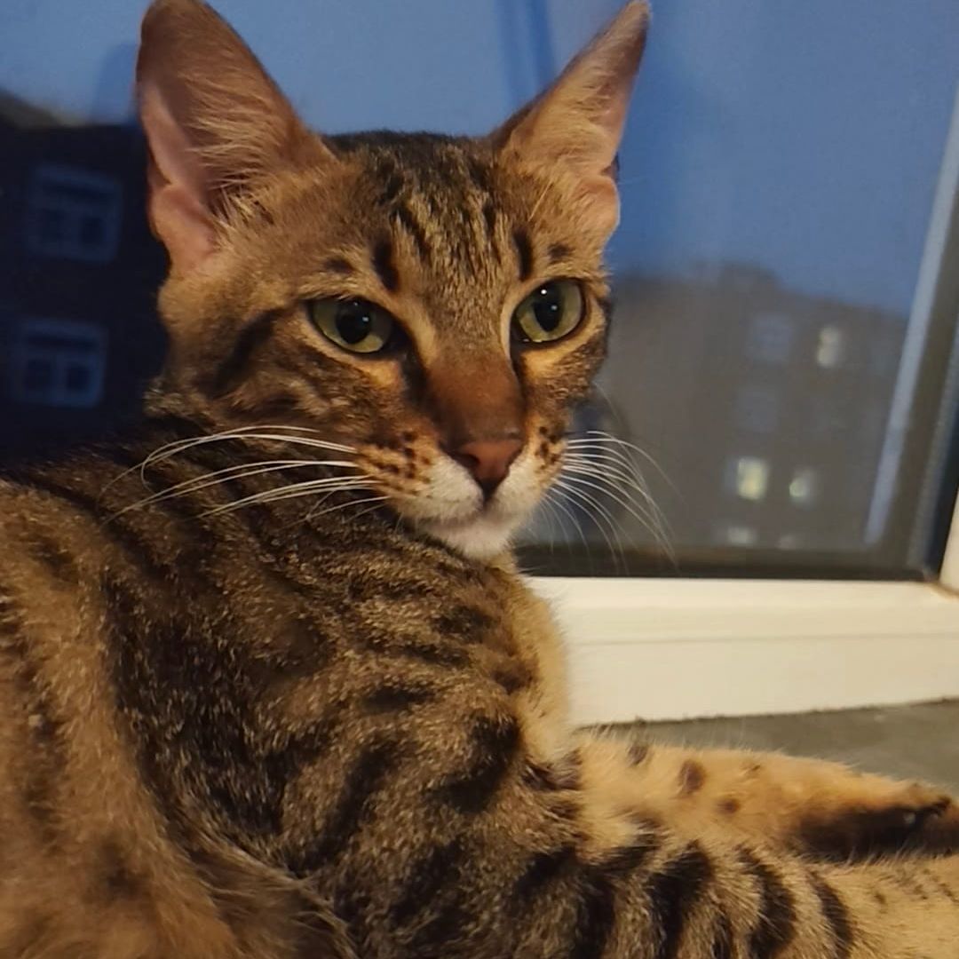 Luna