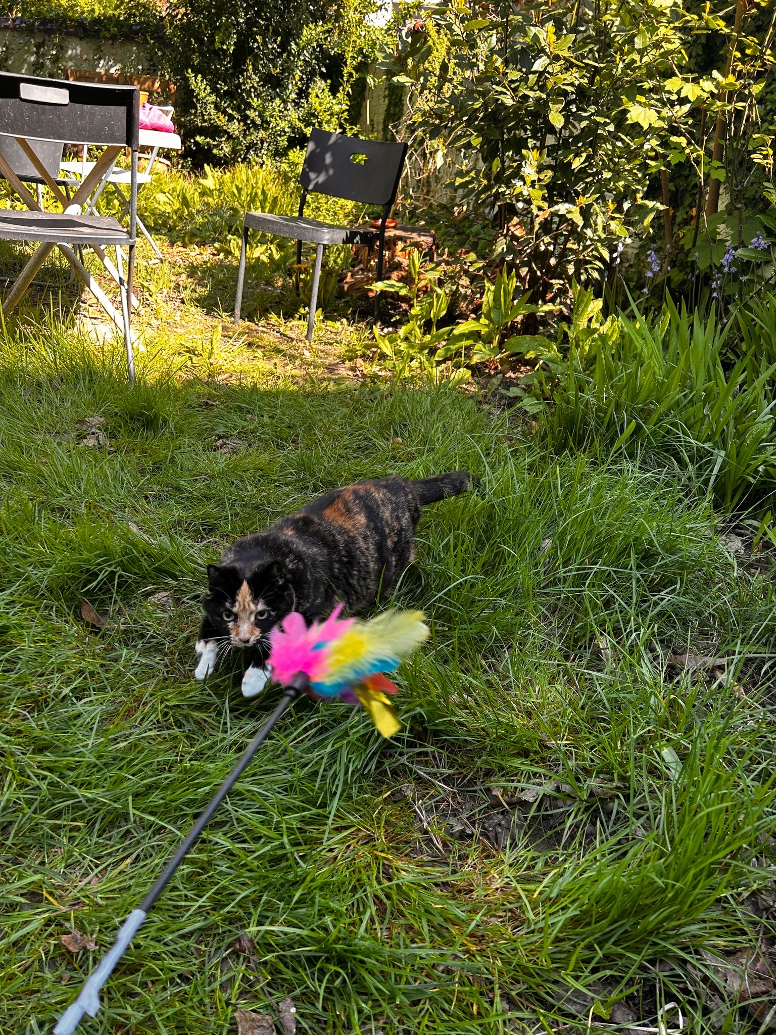 image-5