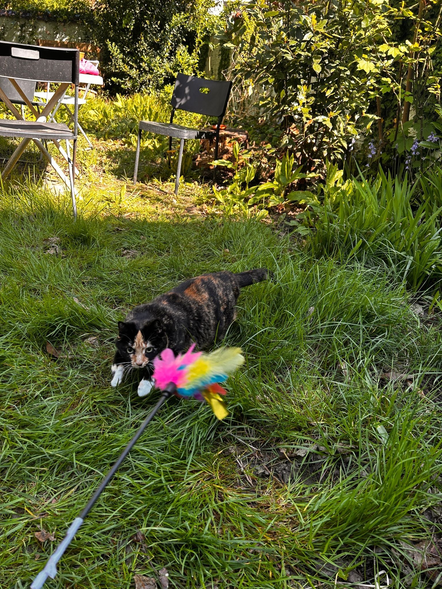 image-5