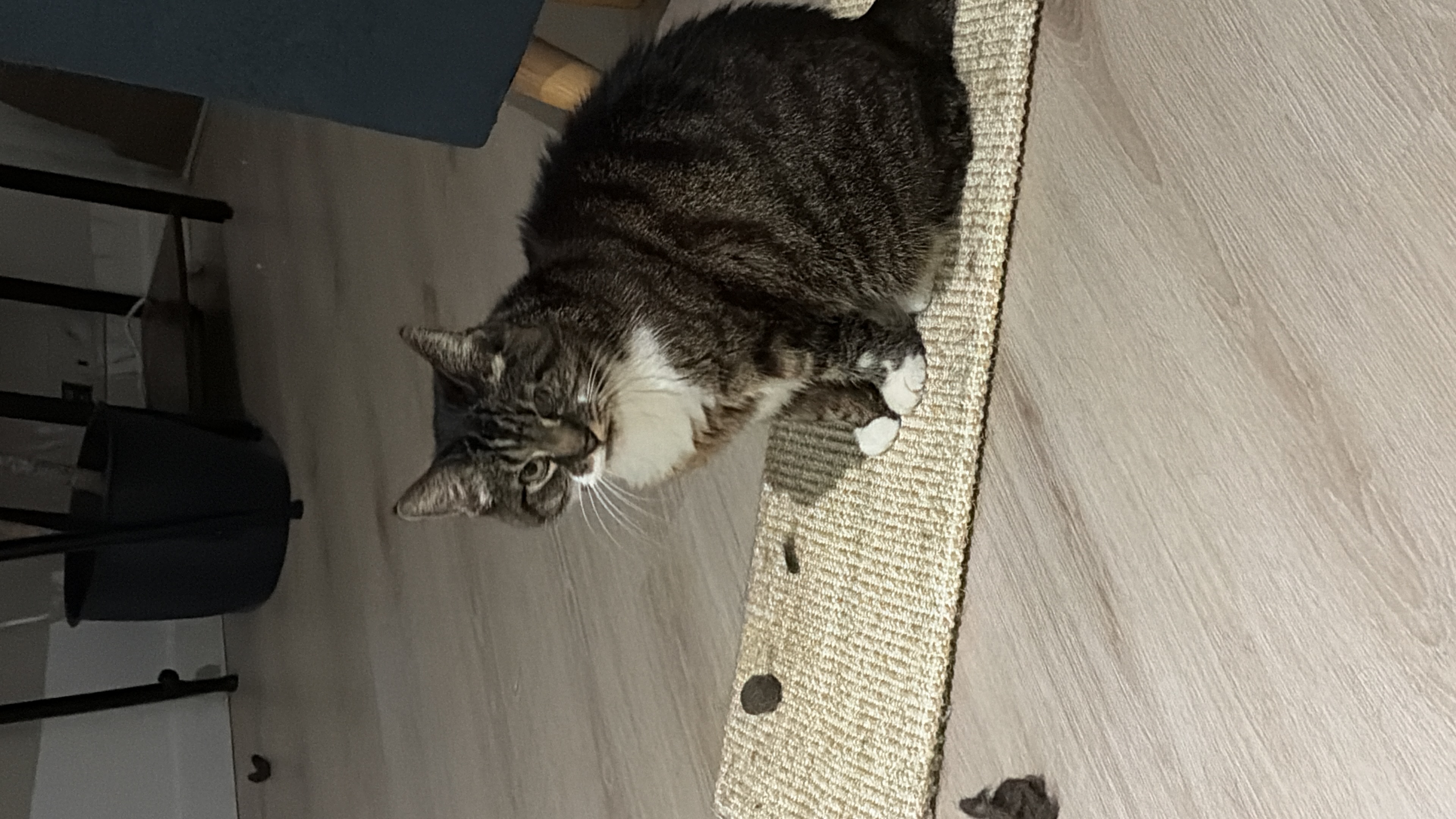 image-10