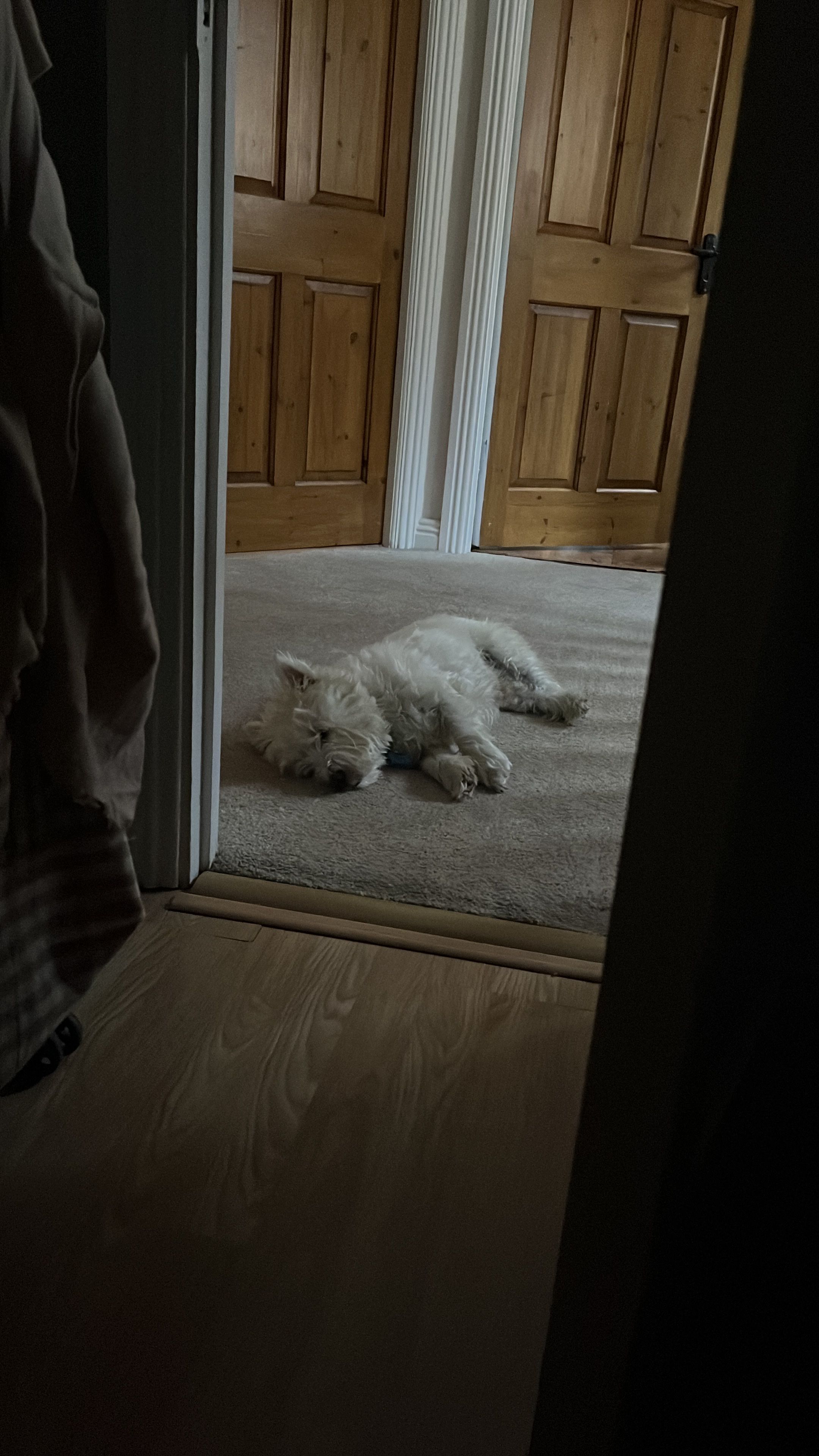 image-11
