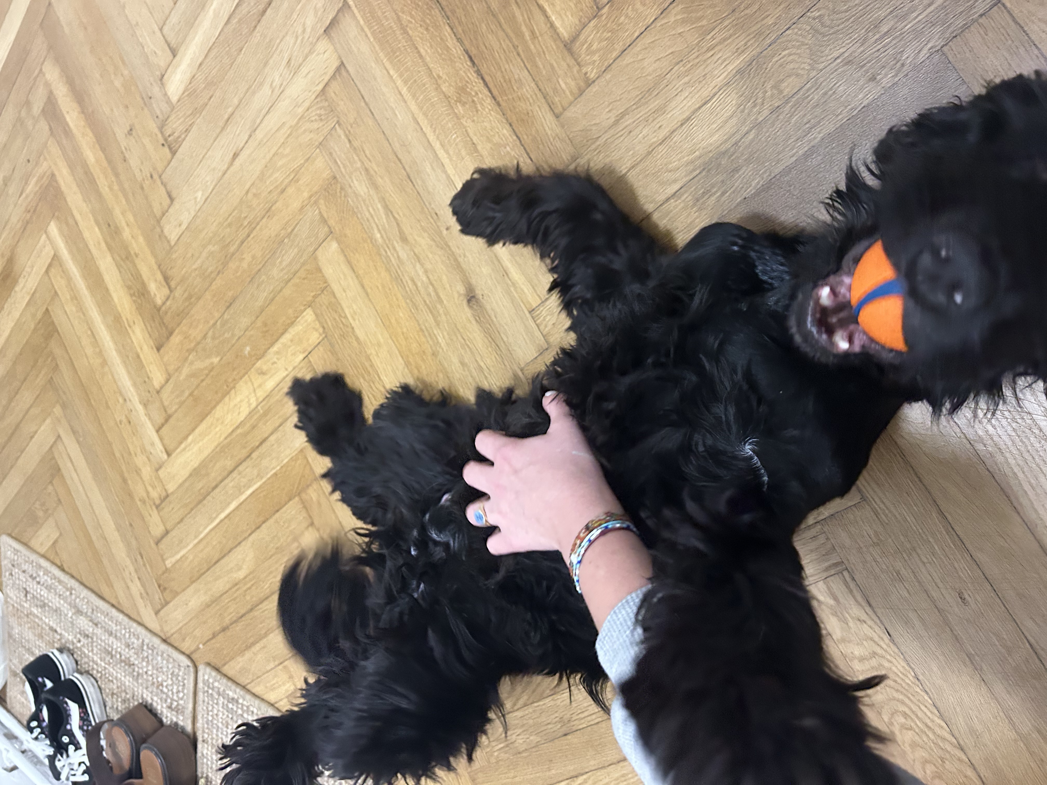 image-9