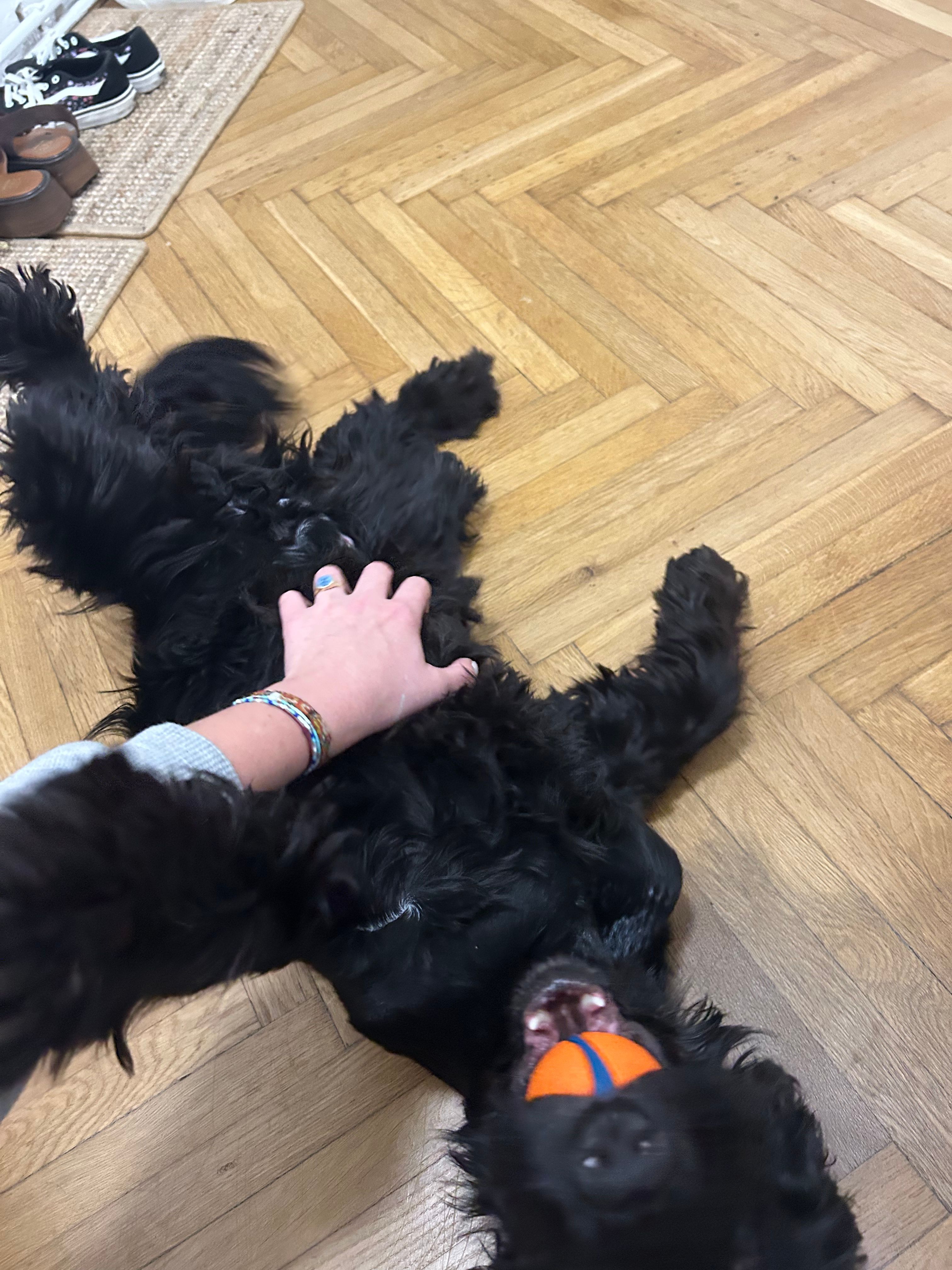 image-9
