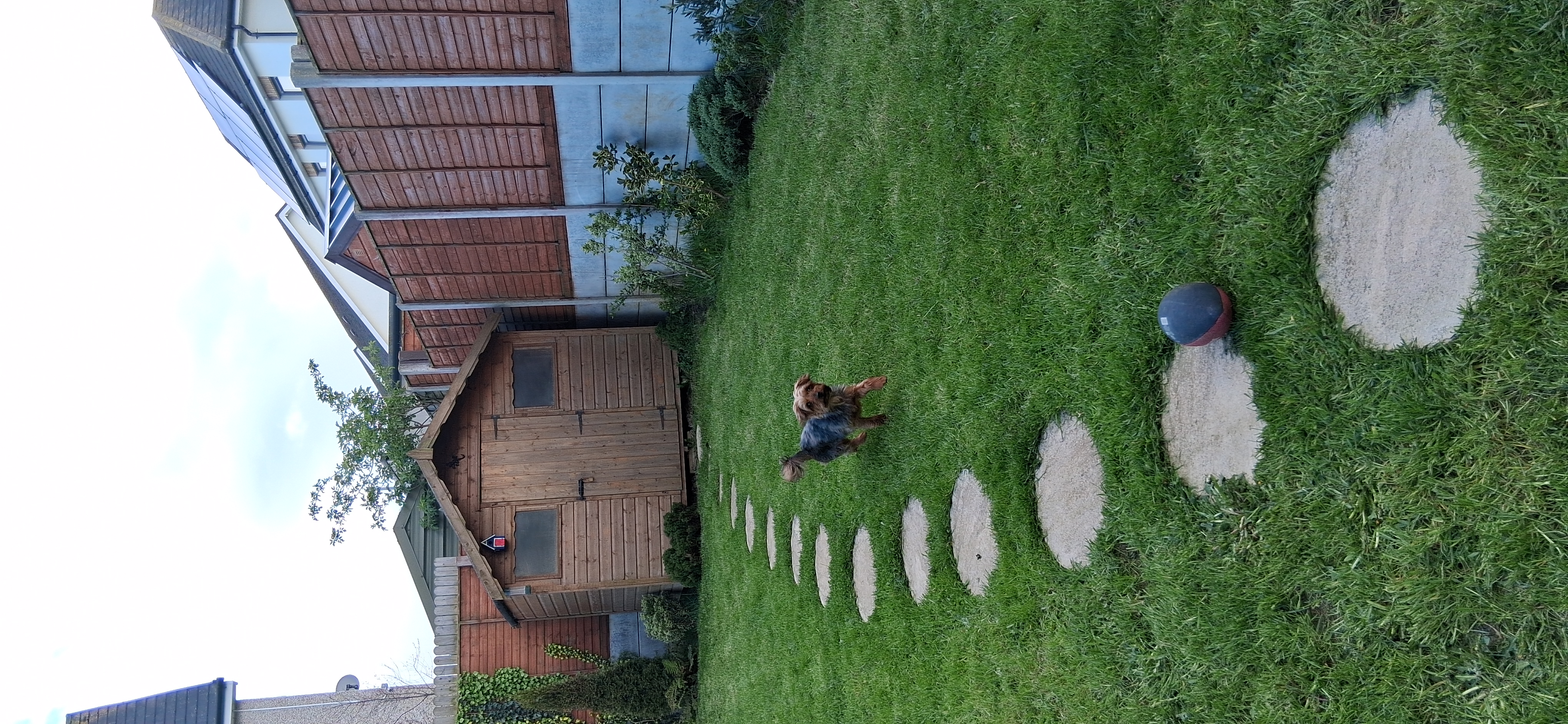 image-11