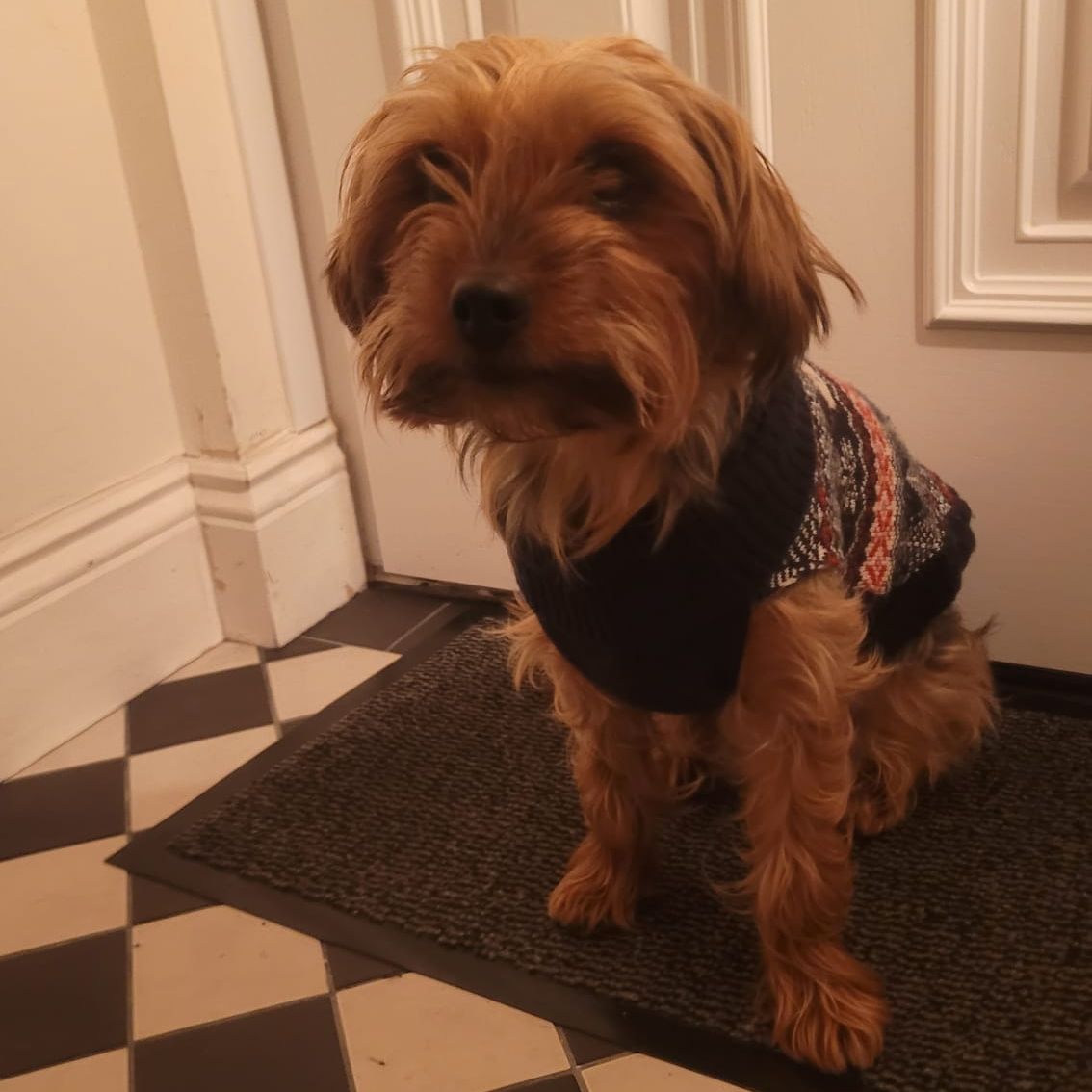 Archie