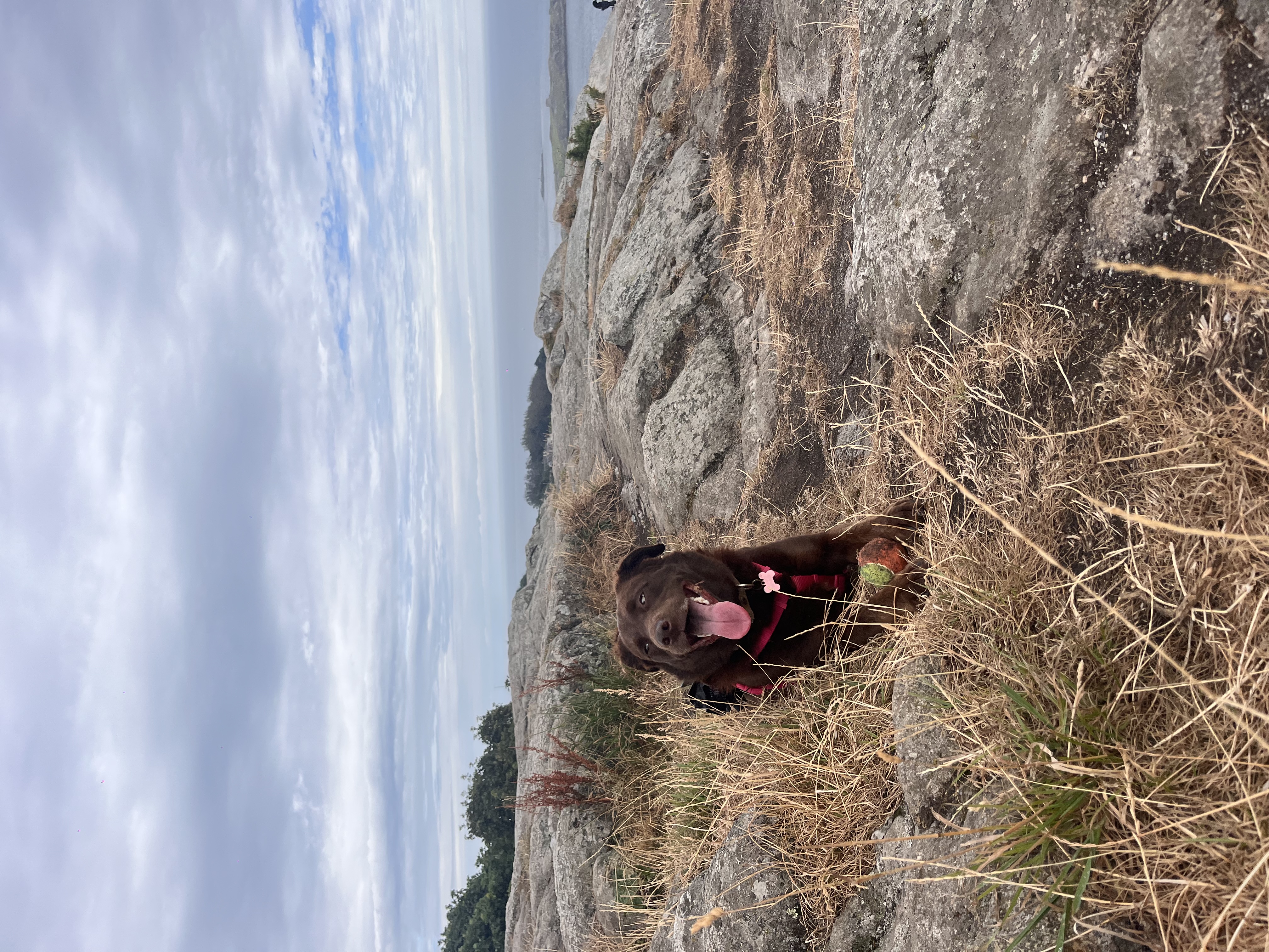 image-7