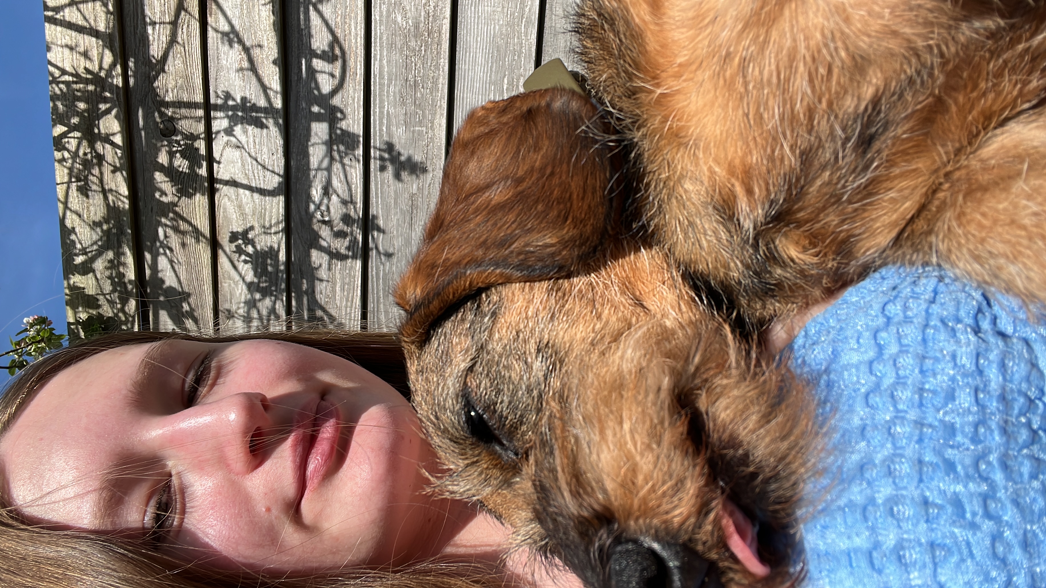 image-3