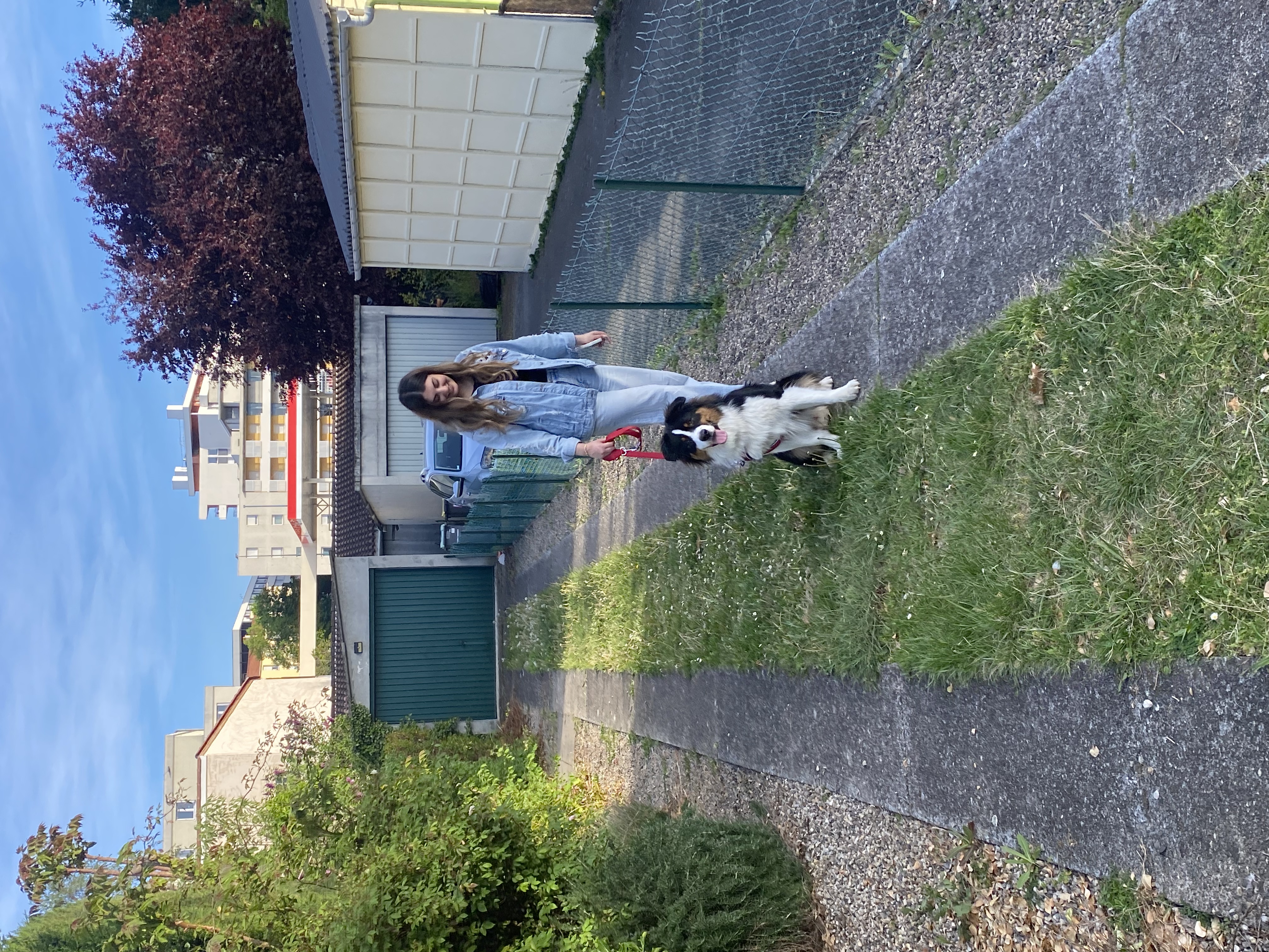 image-19