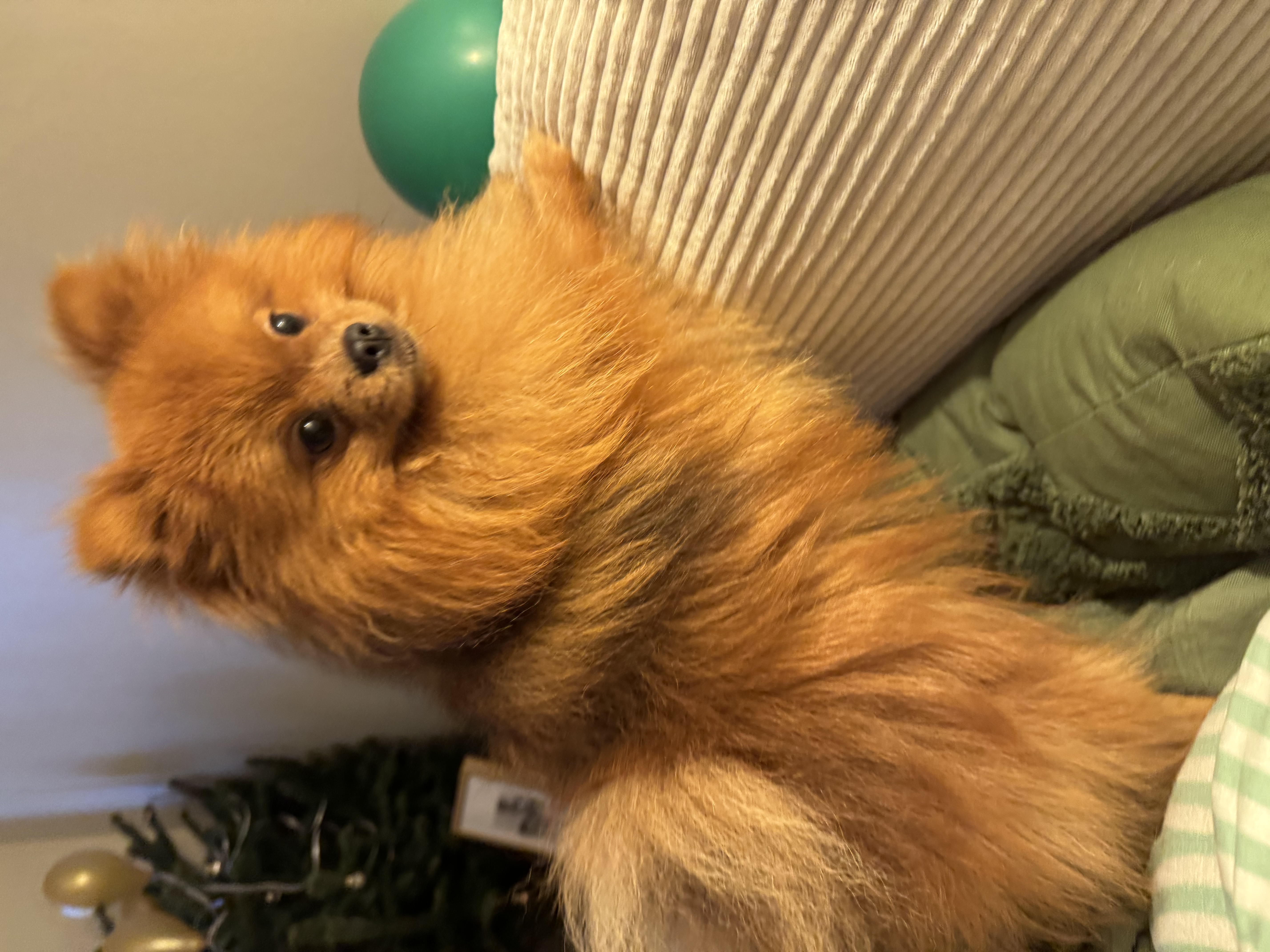 image-8