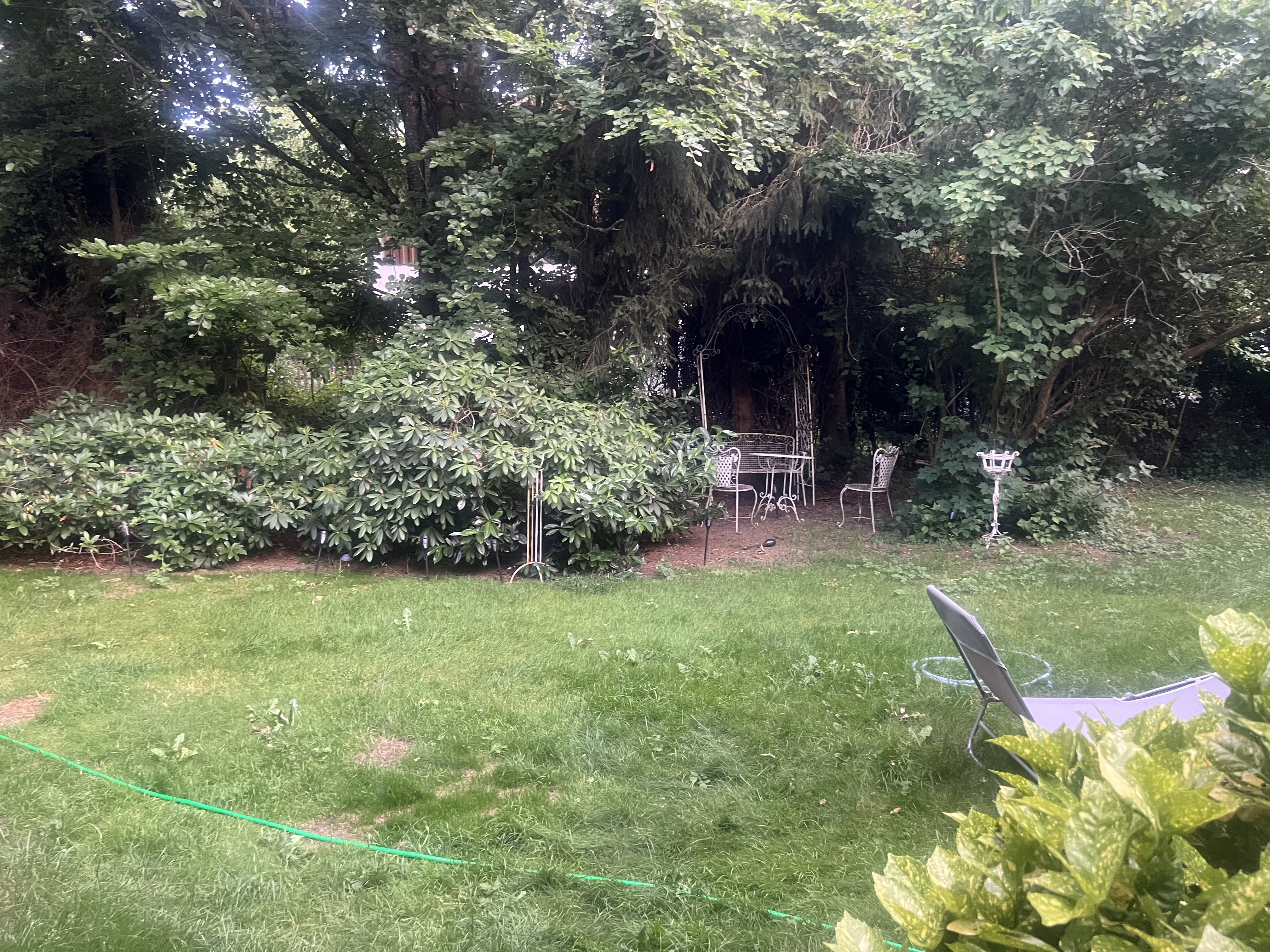 image-5
