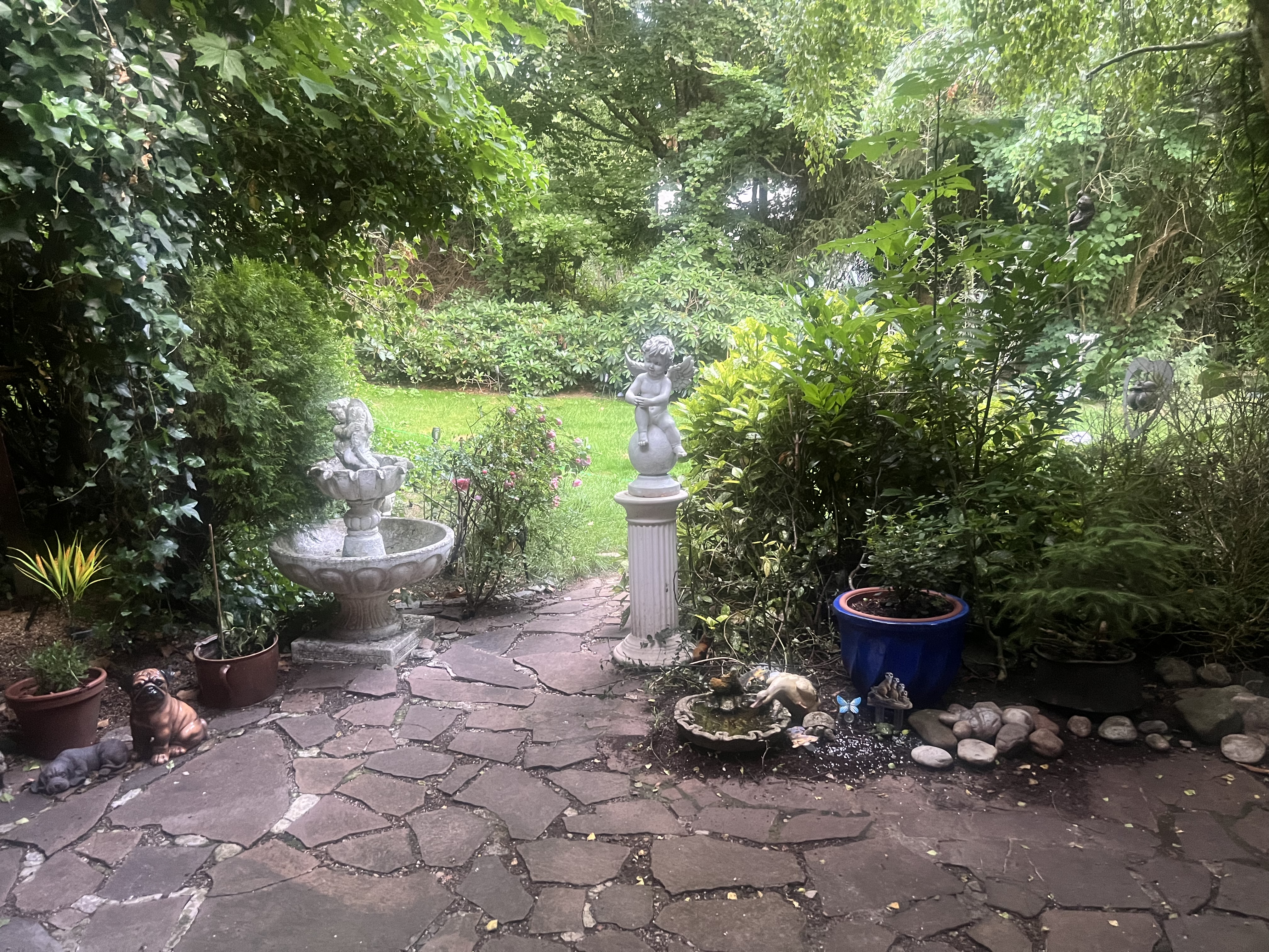 image-8