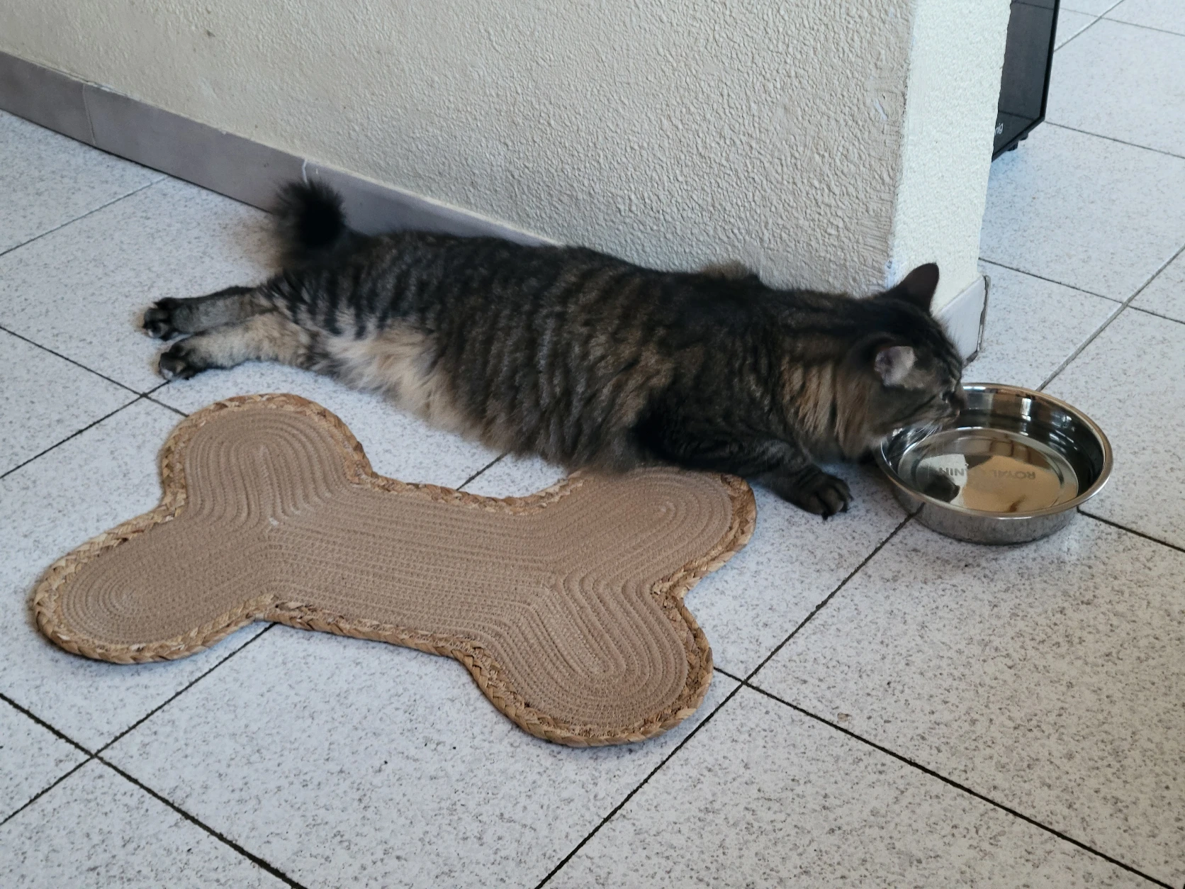 image-21