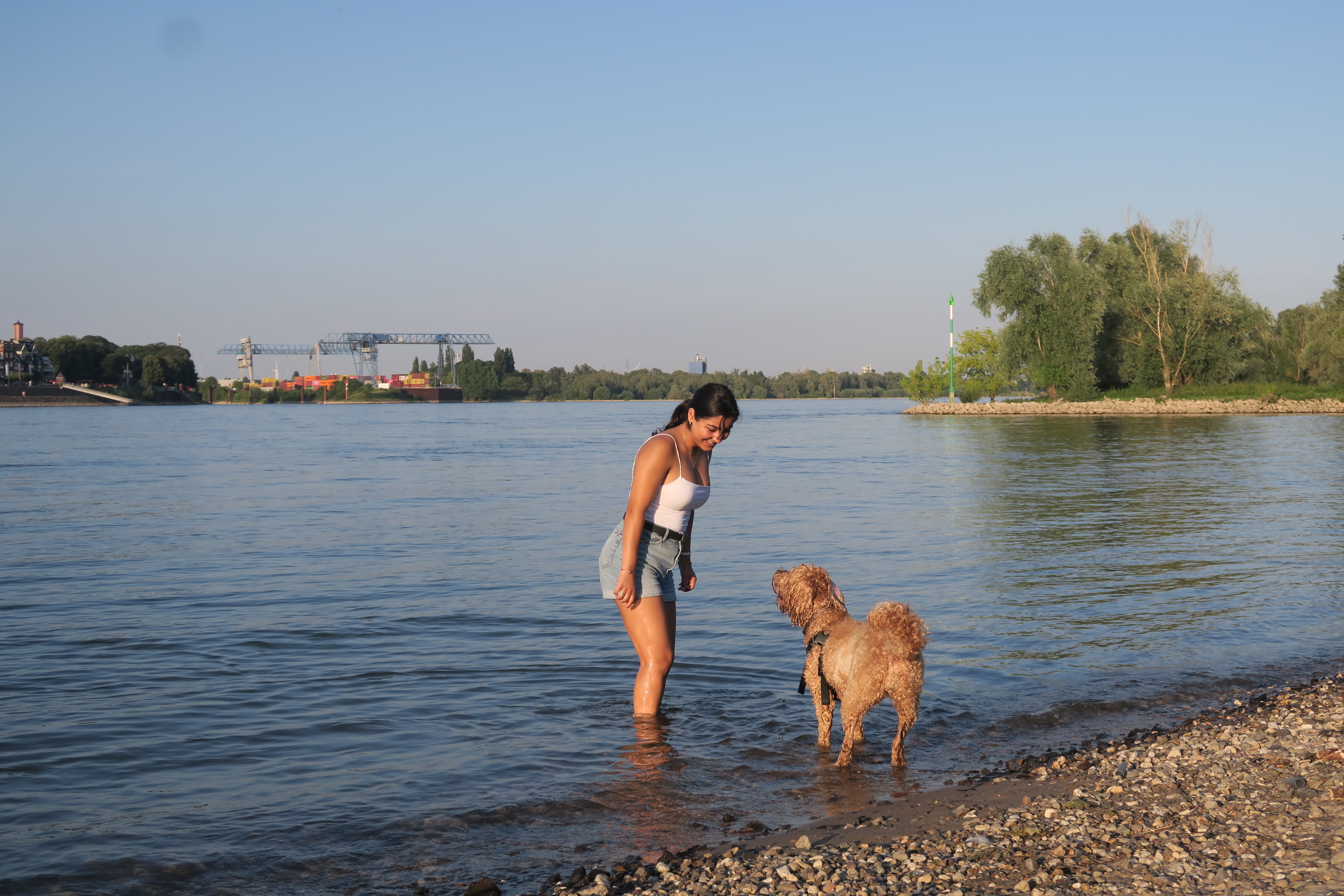 image-5