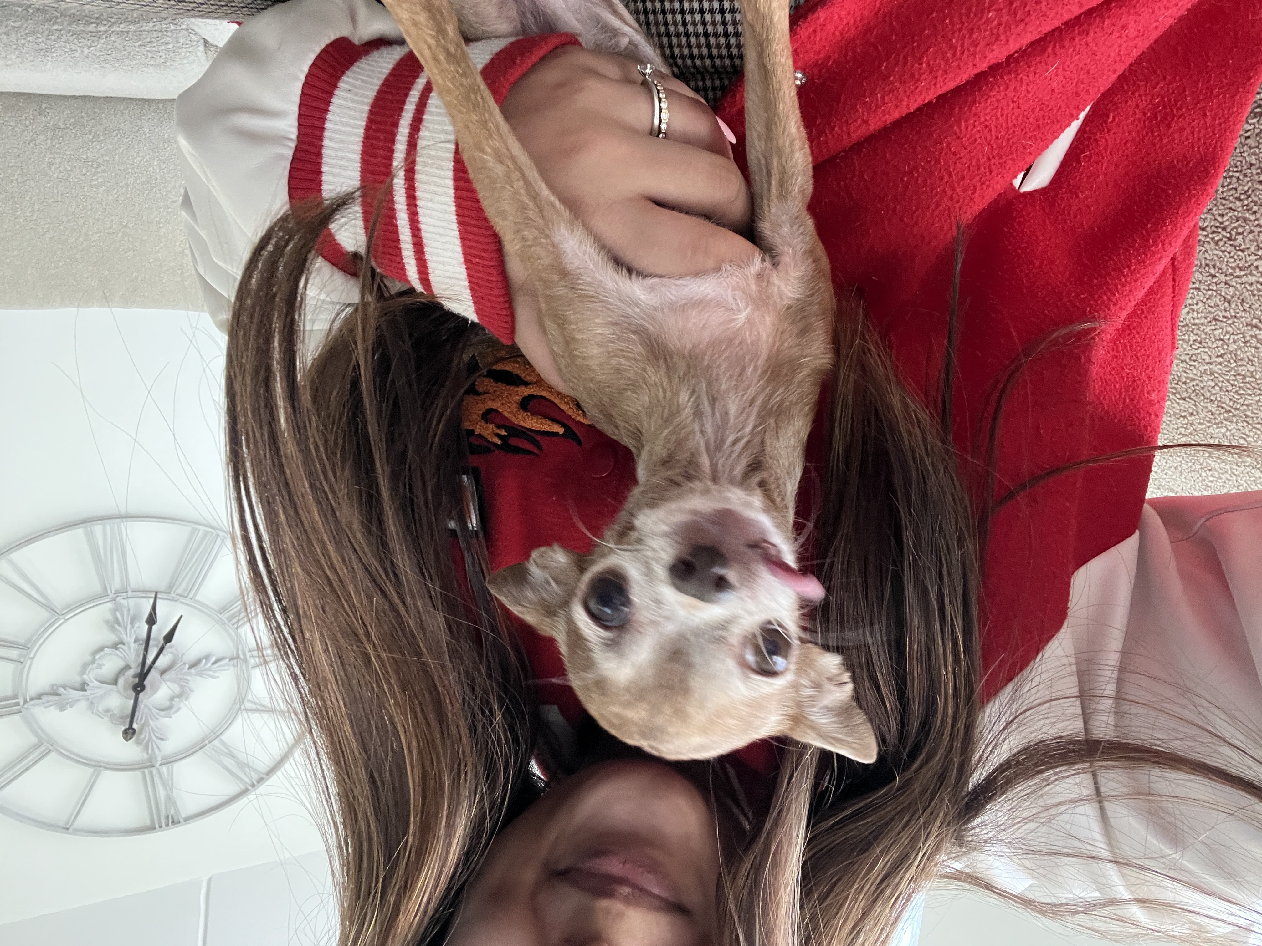 image-9