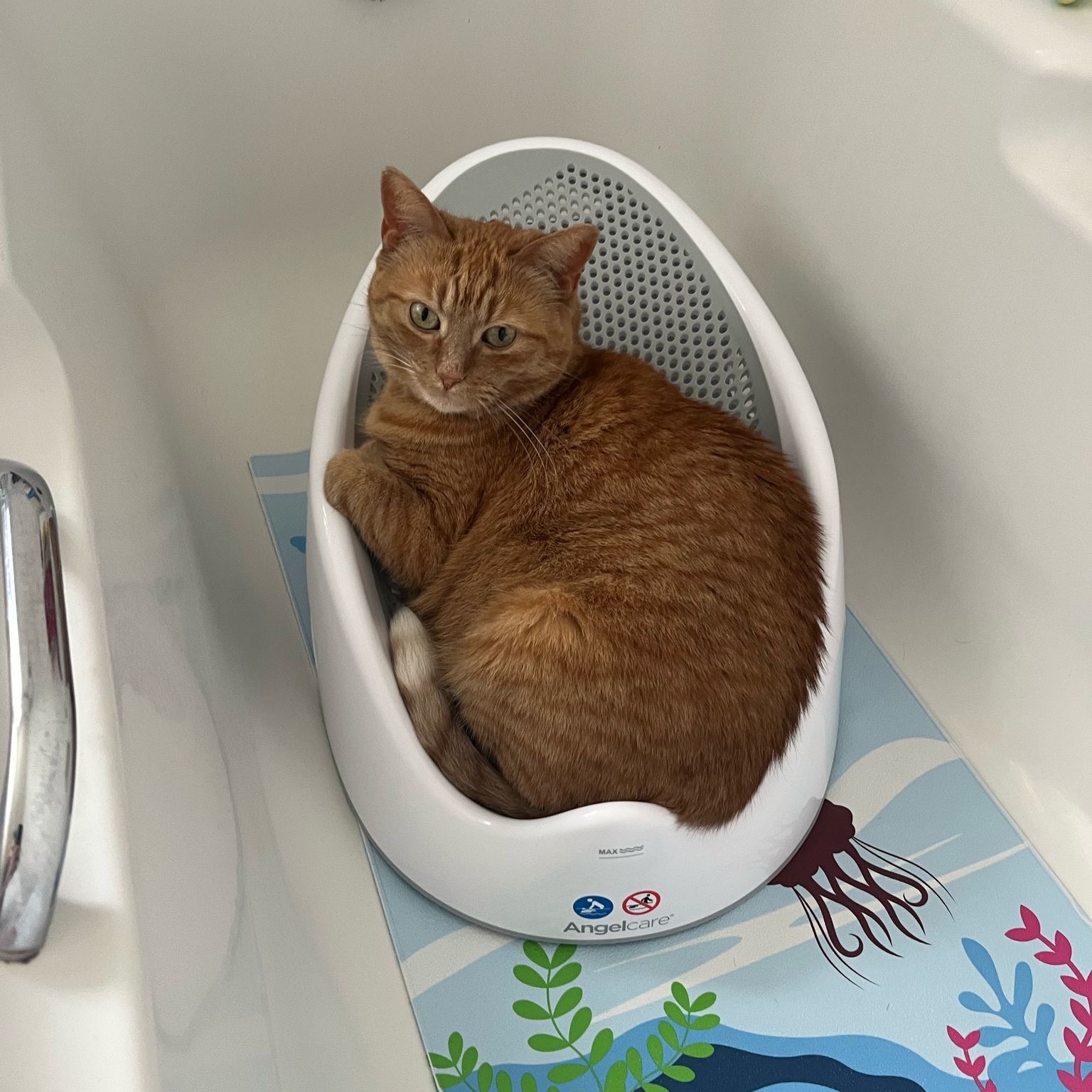 Nala