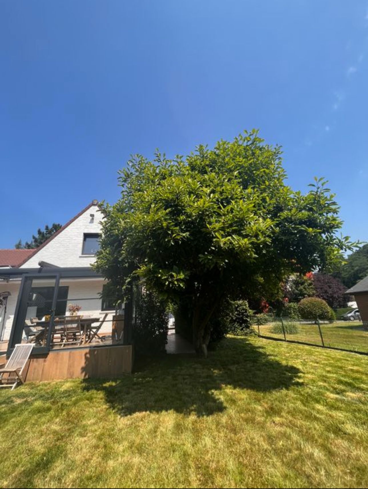 image-18