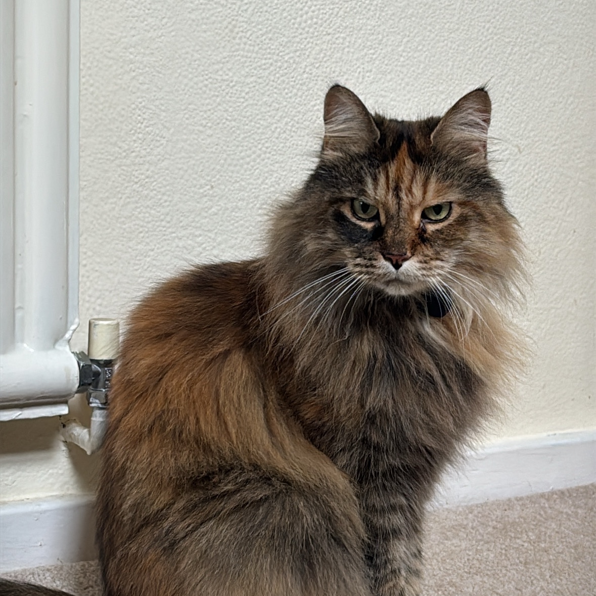 Delilah