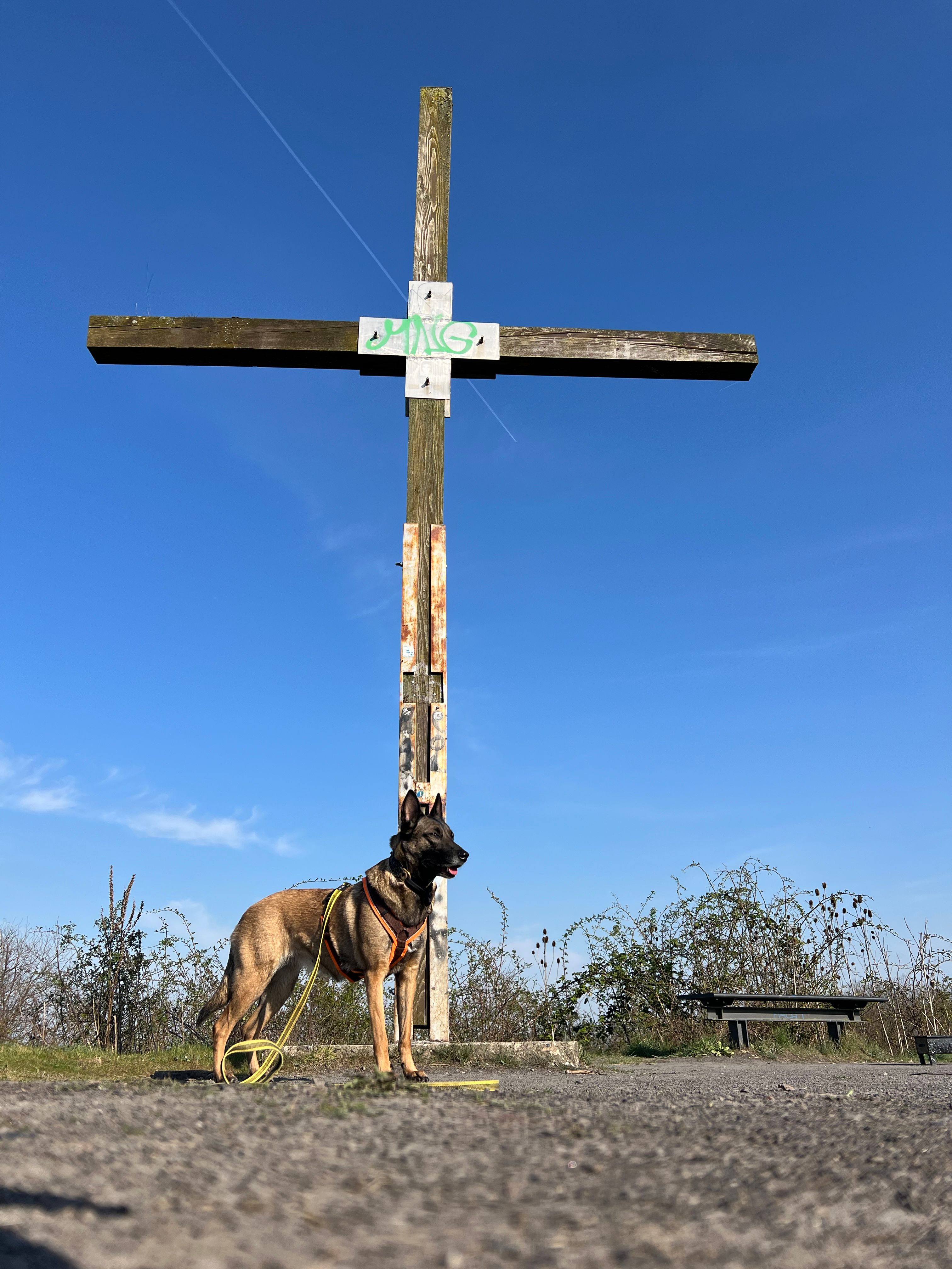 image-13