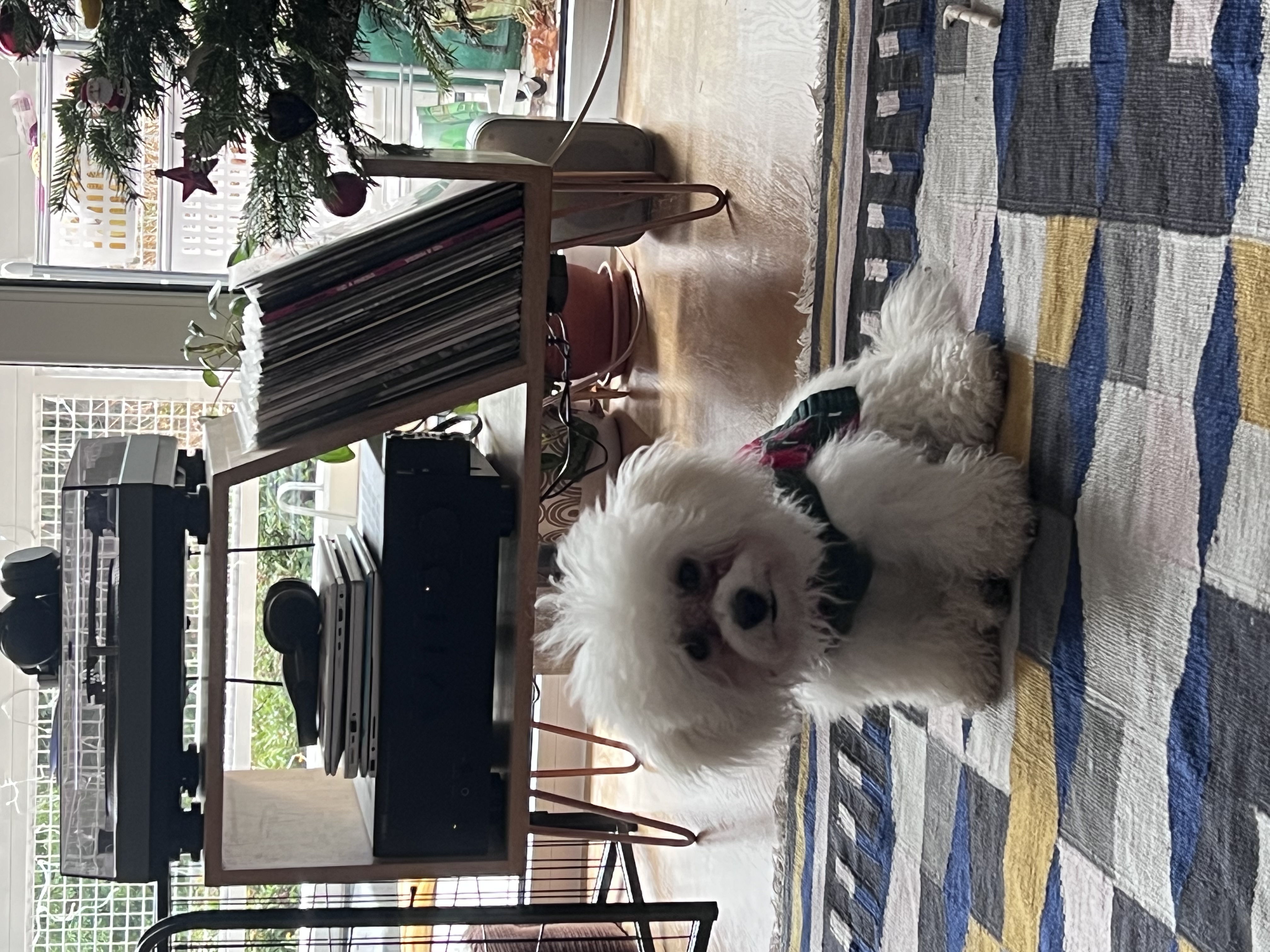 image-12