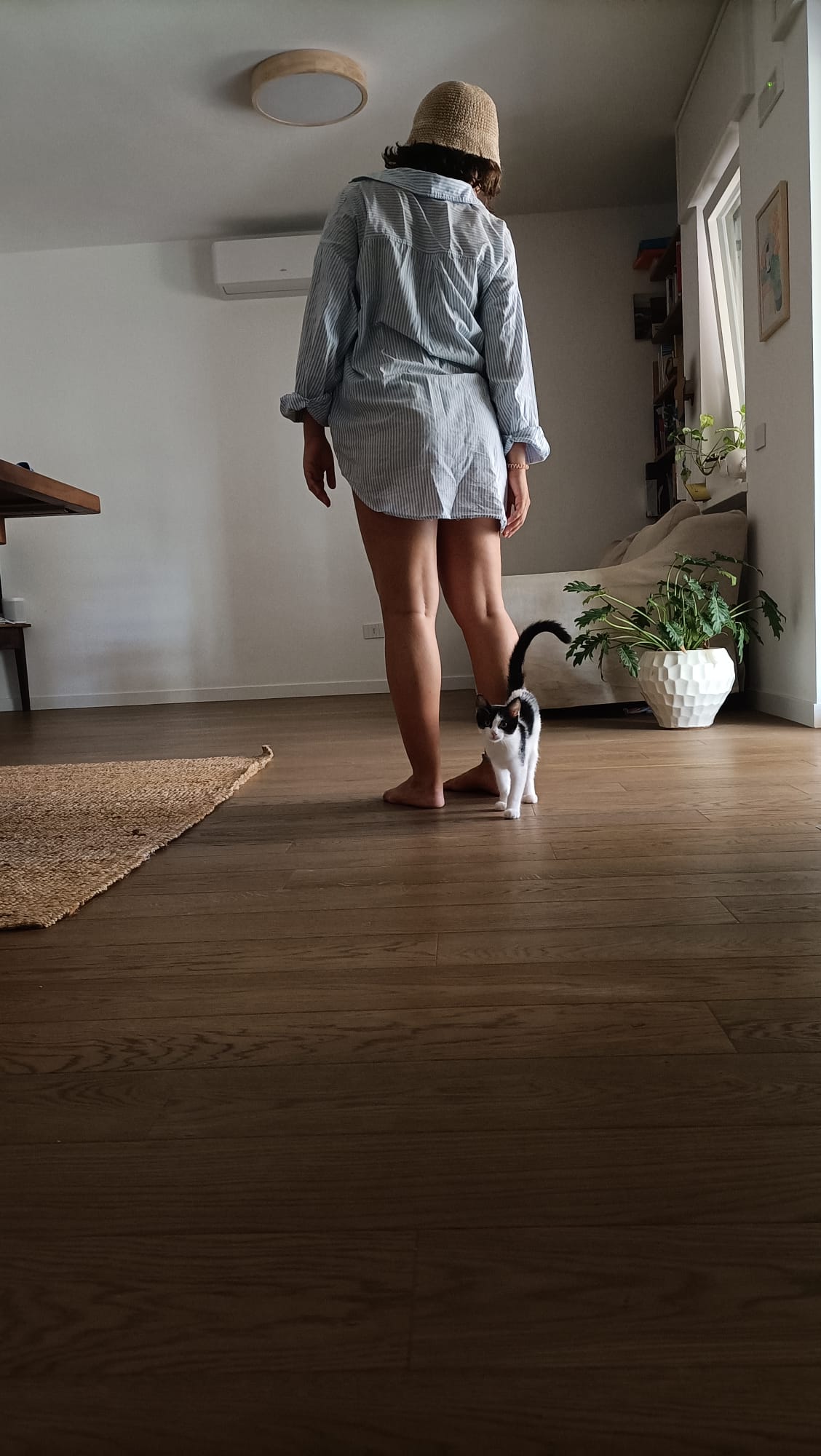 image-7