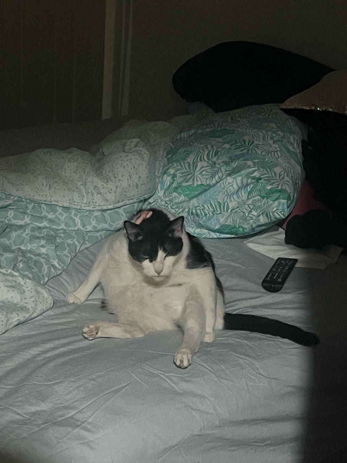 image-8