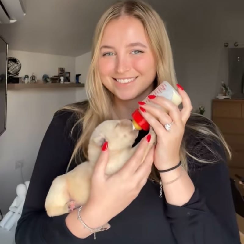 Hen