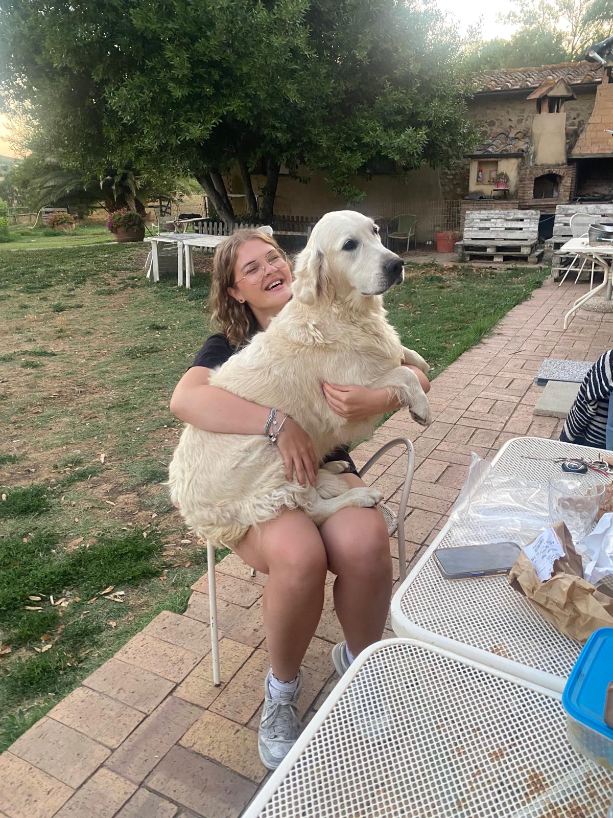 image-2