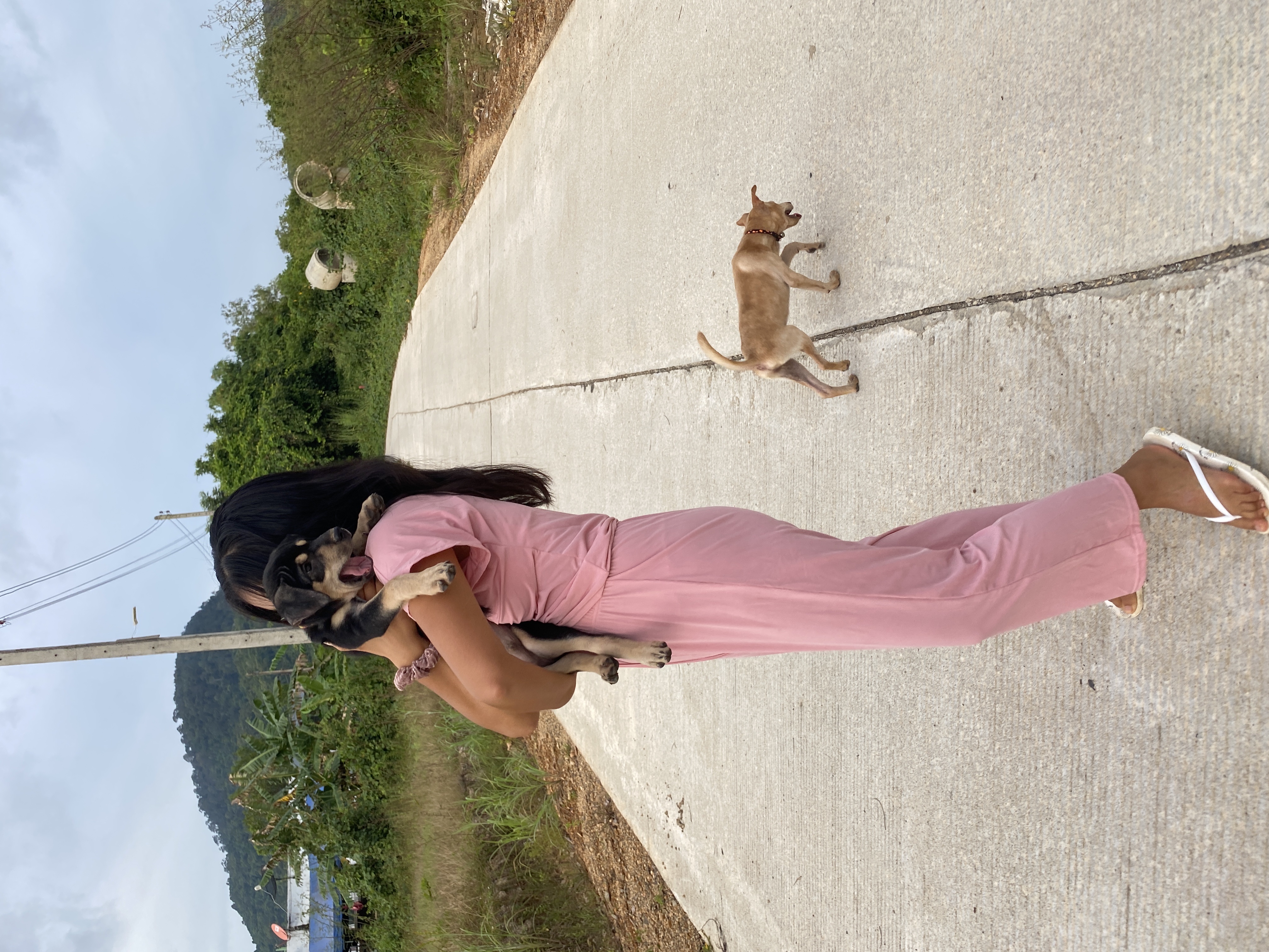image-3