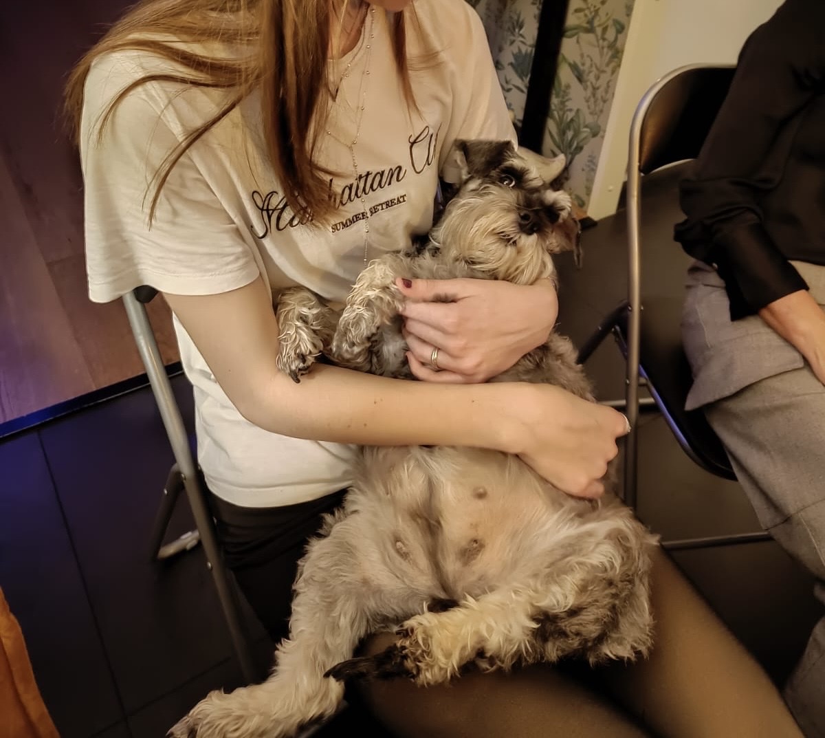 image-11