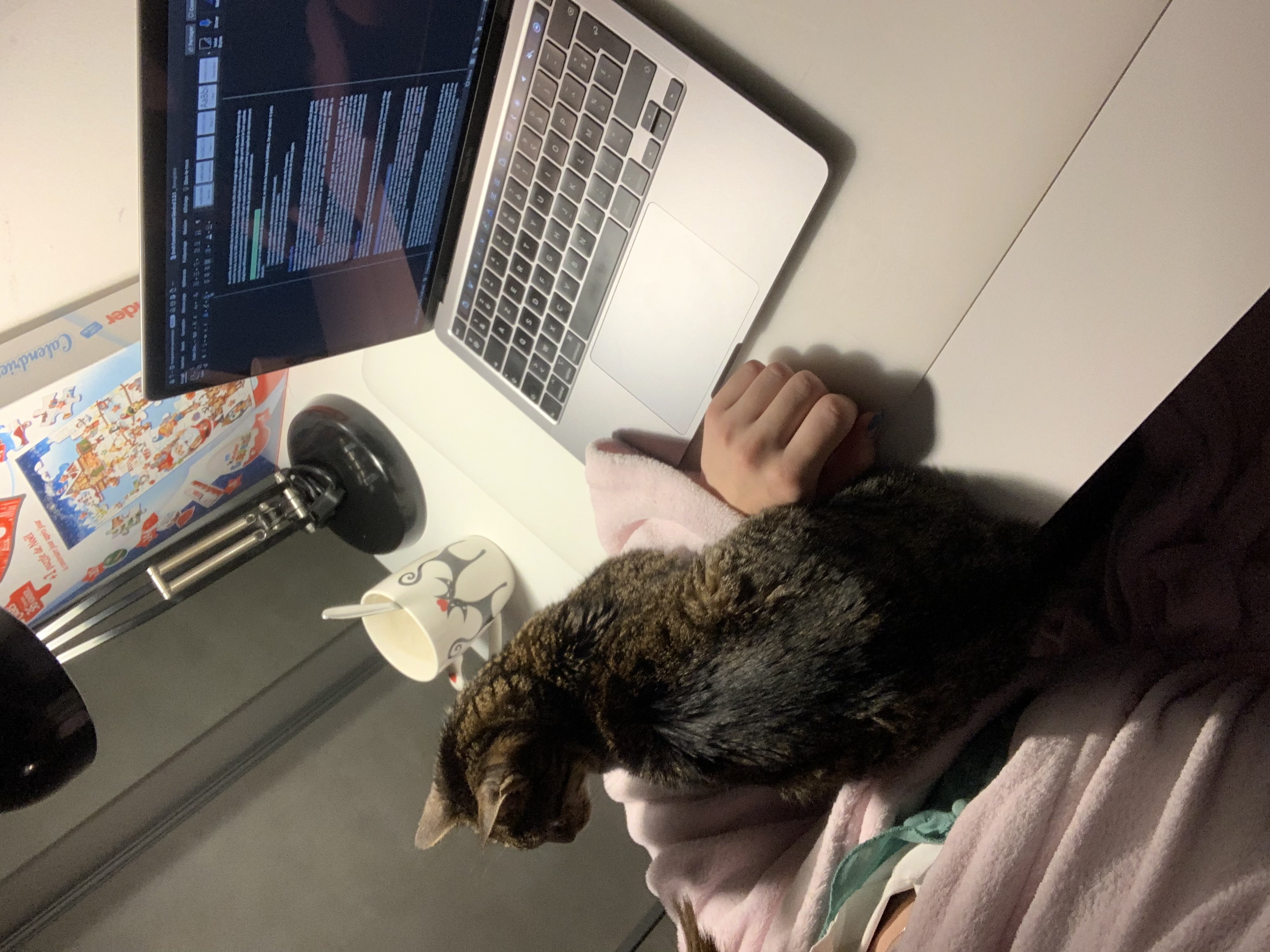 image-8