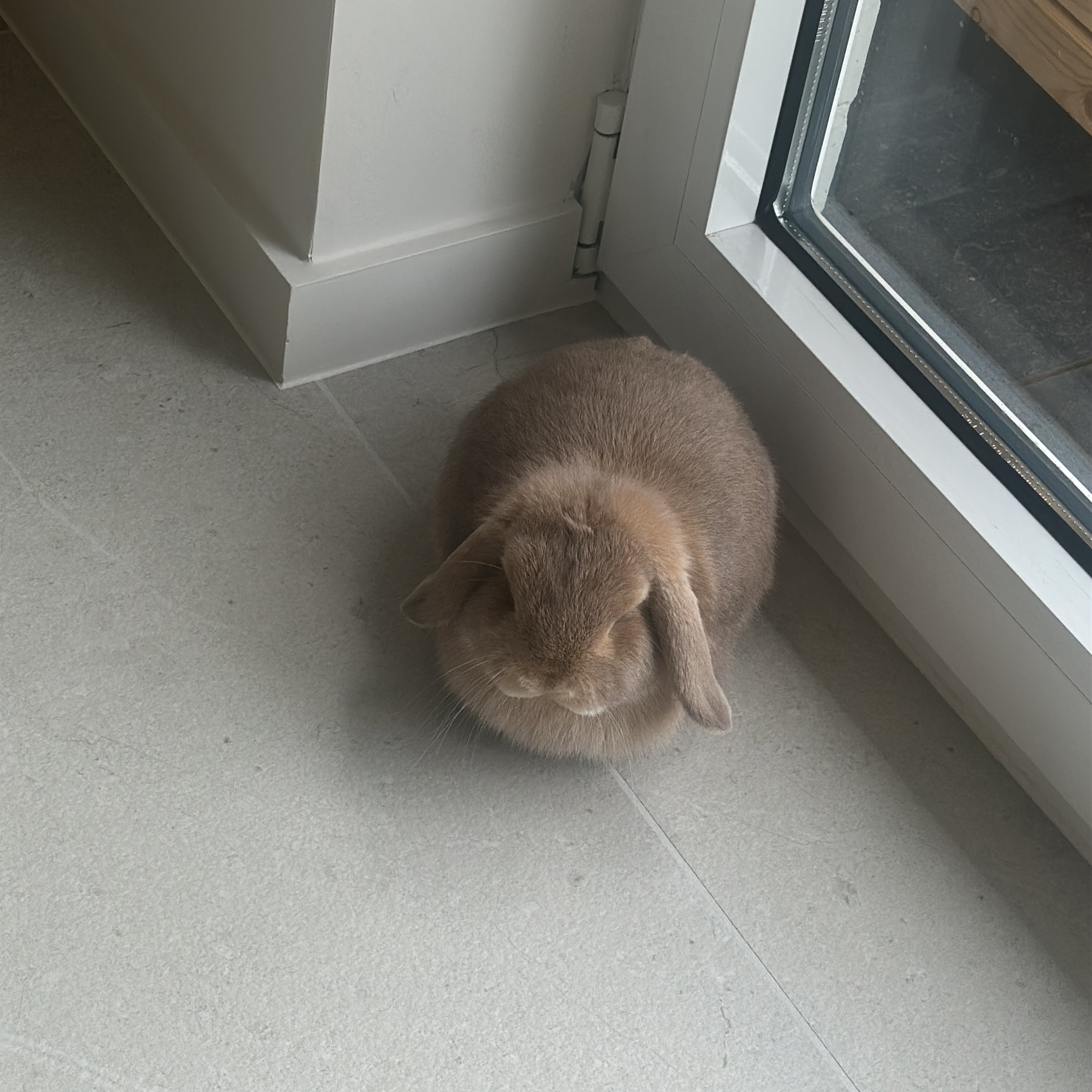 Winnie