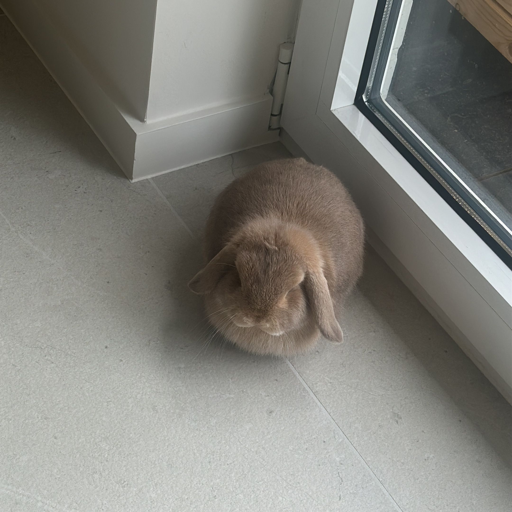 Winnie