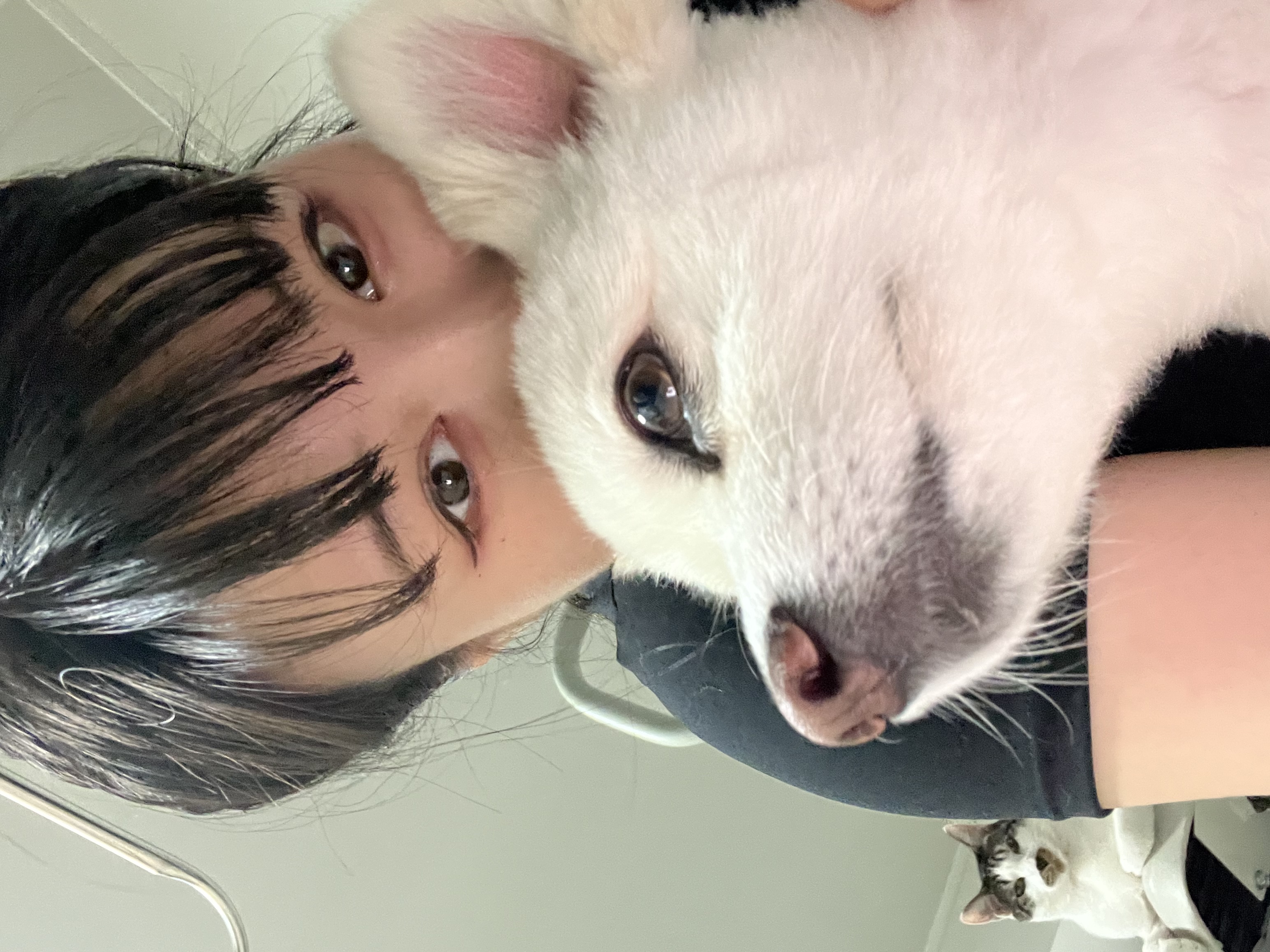 image-3