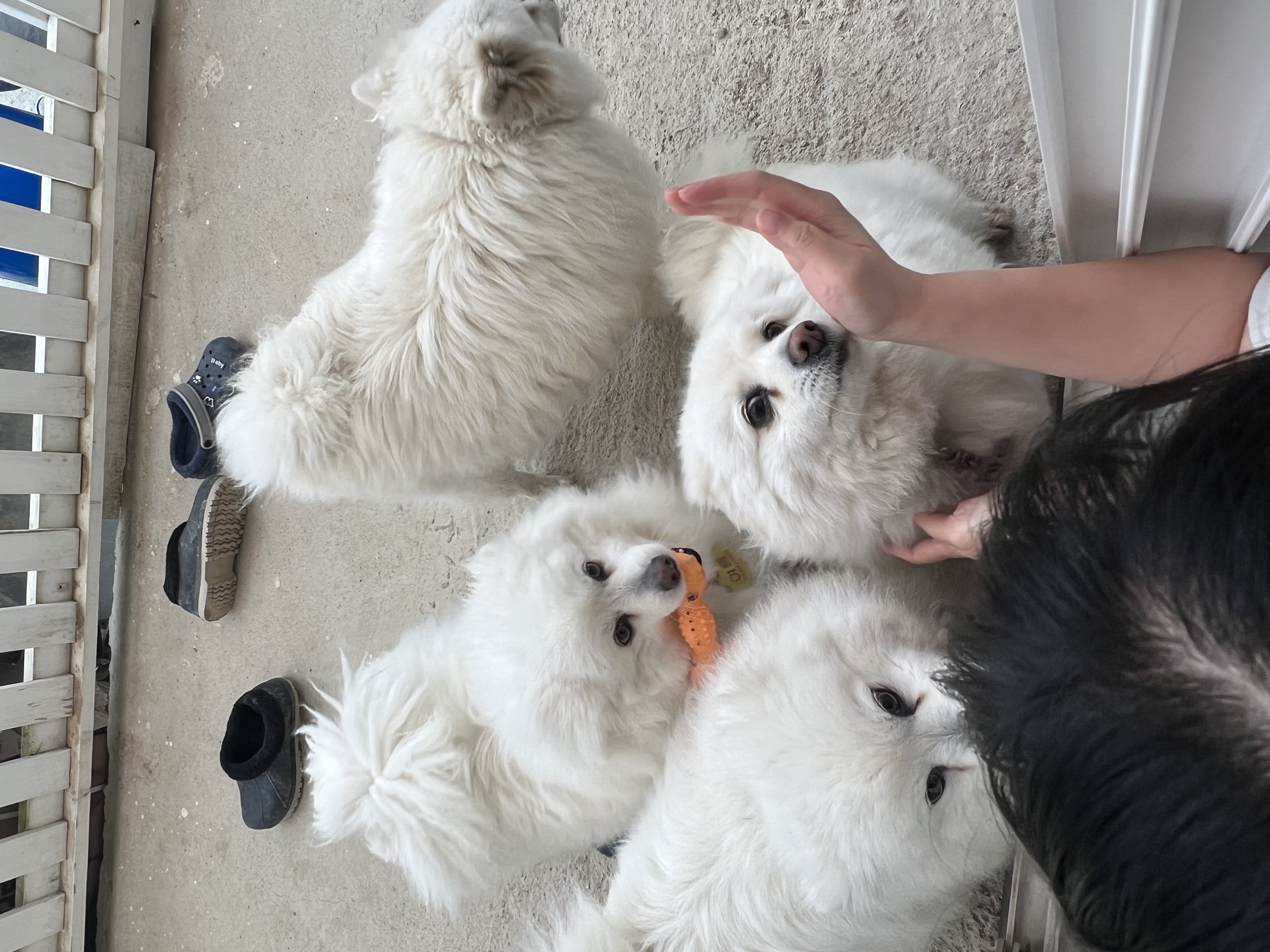 image-9