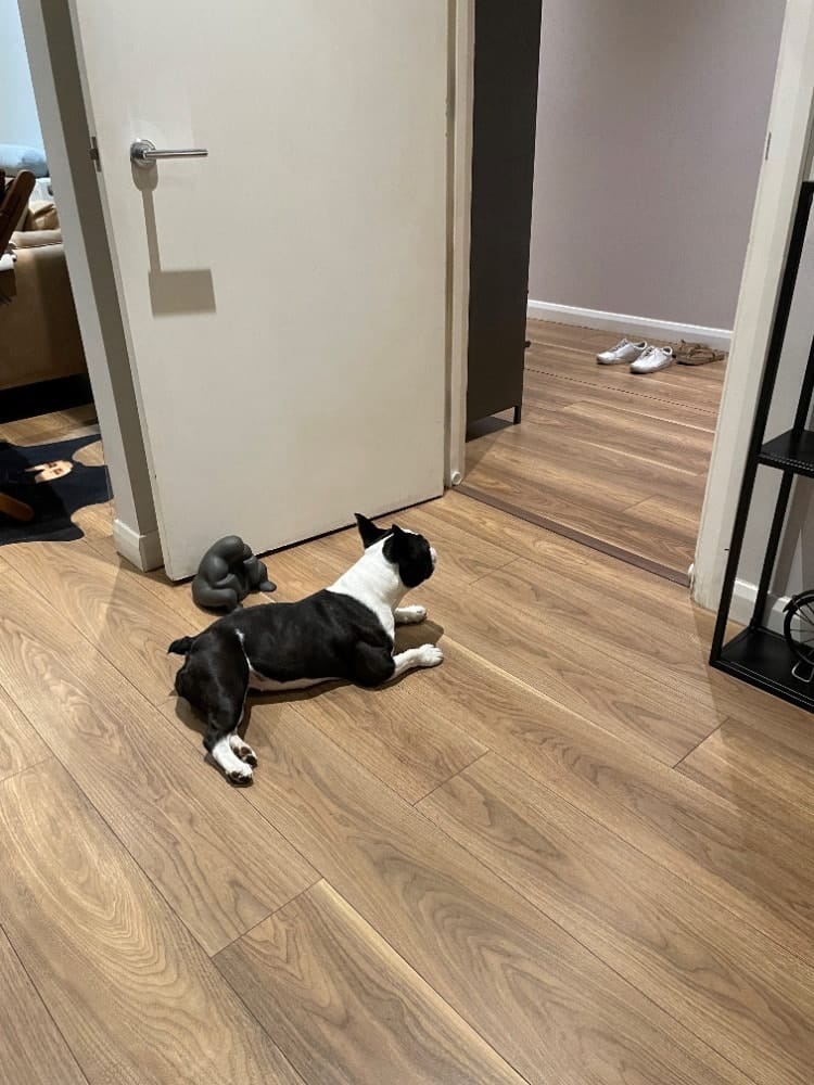 image-18