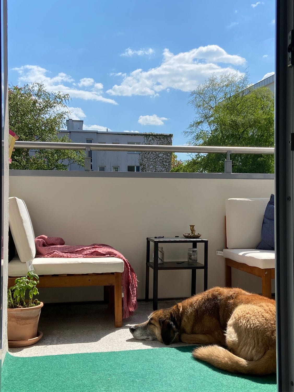 image-14